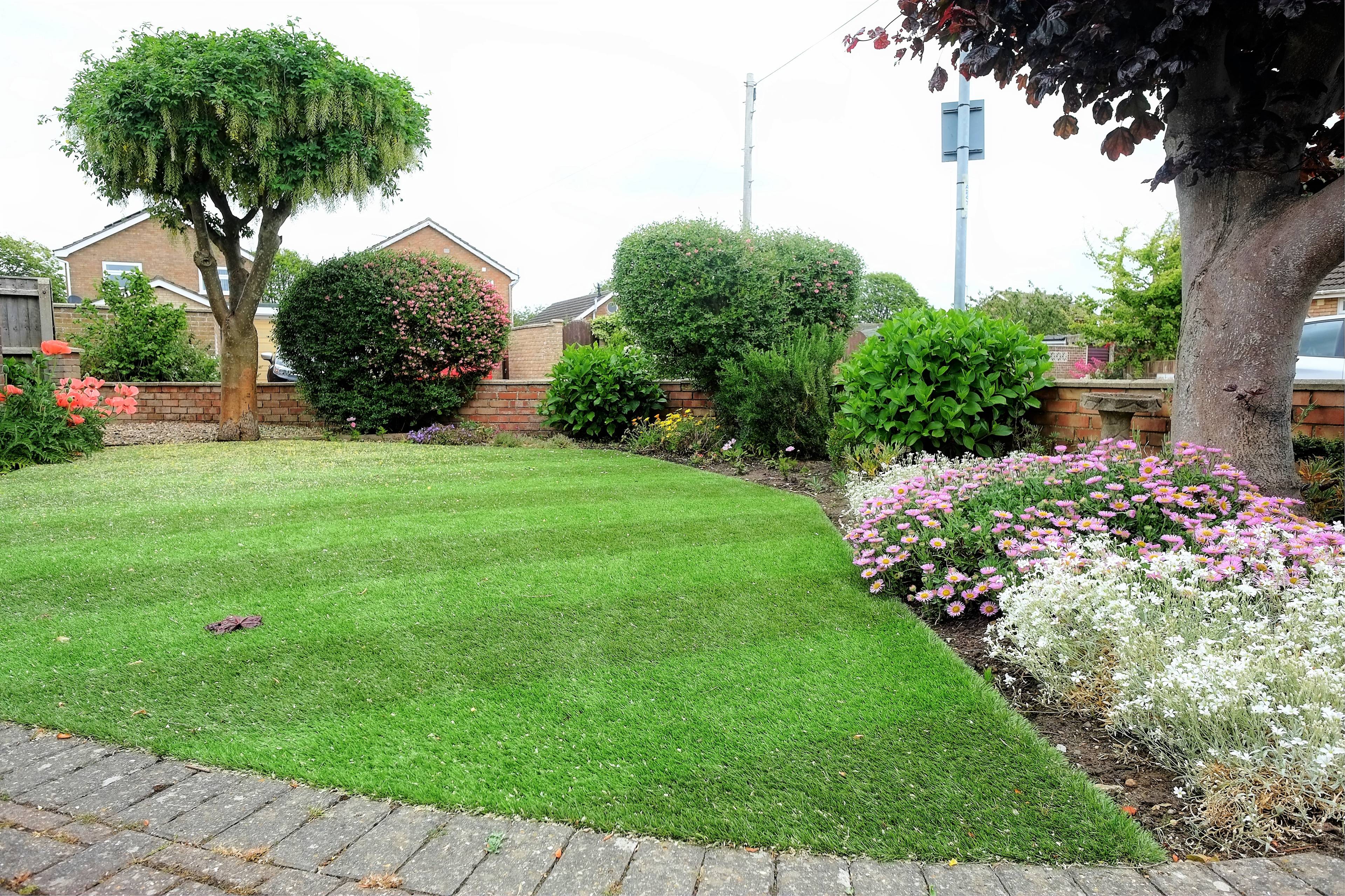 Front Garden