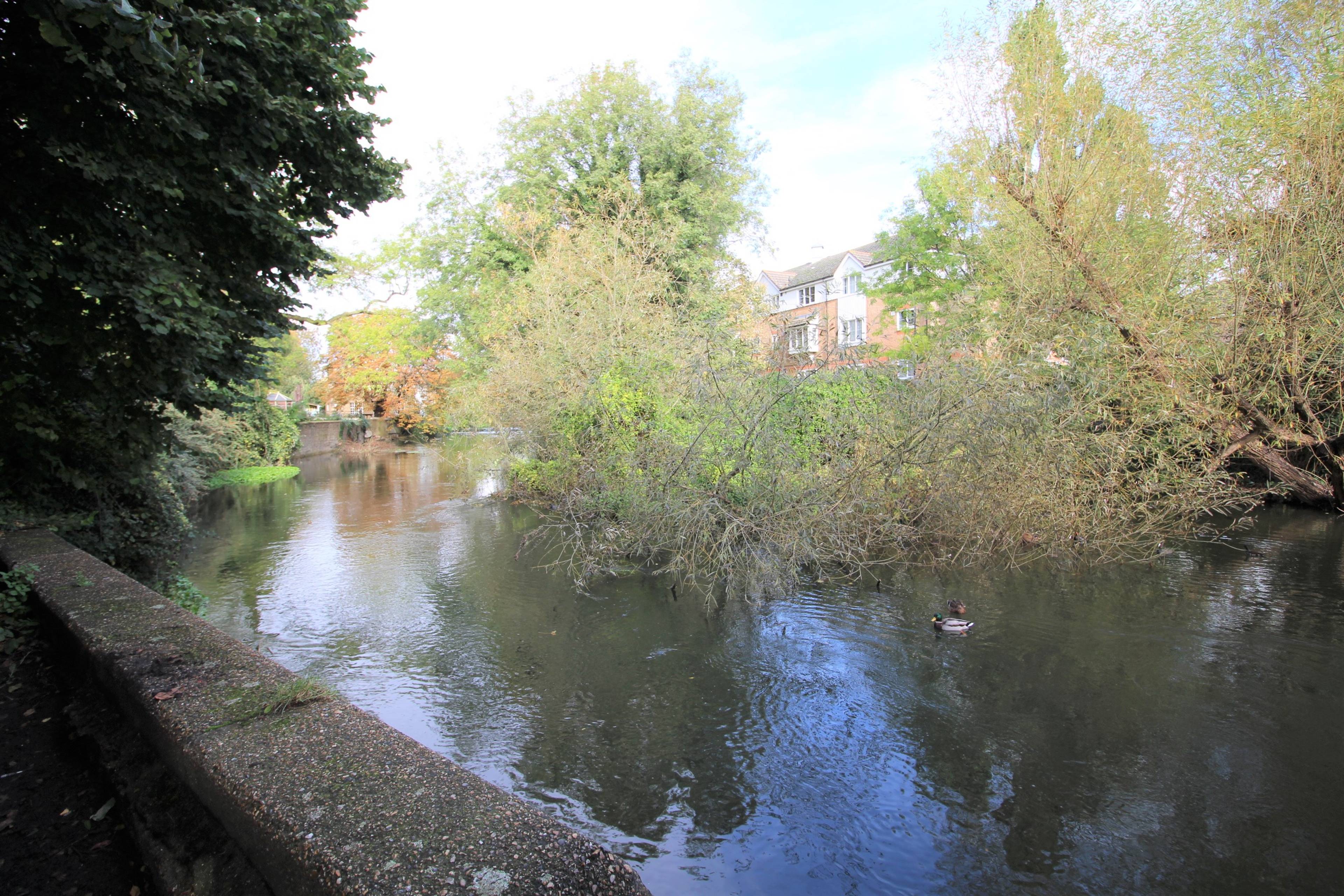 Nearby River