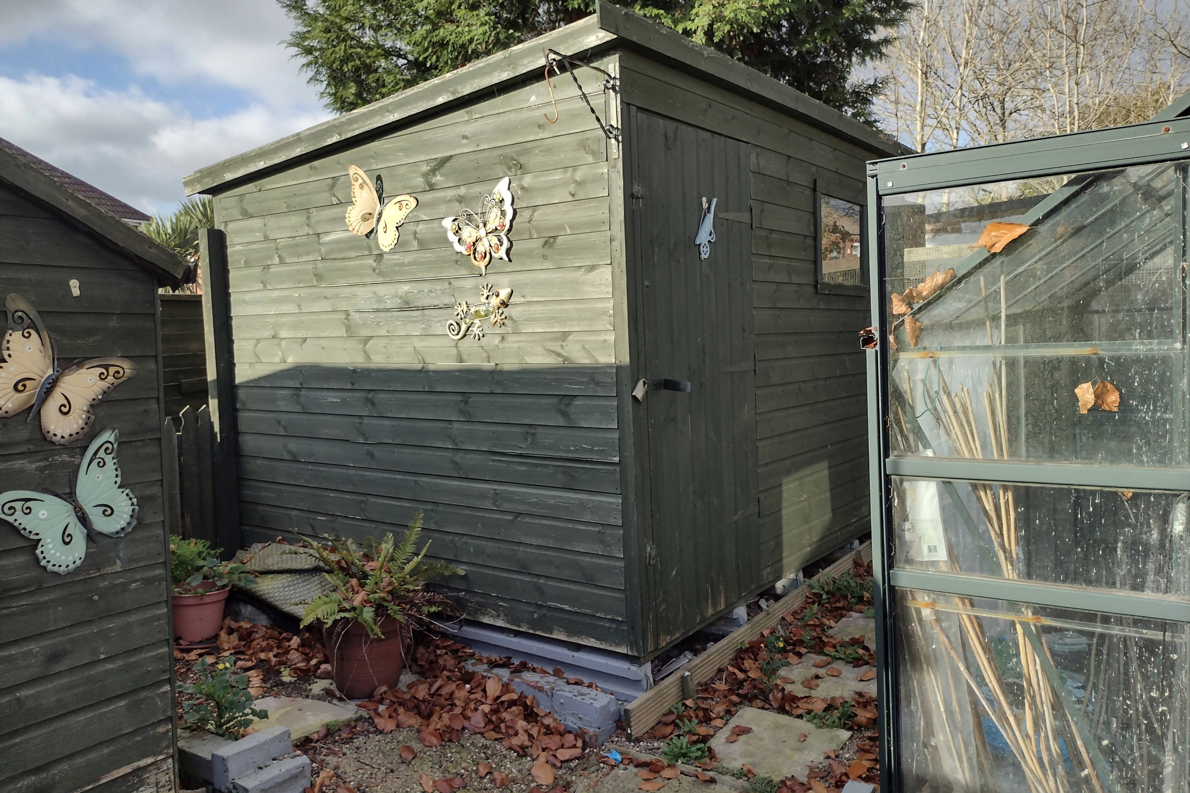 Shed