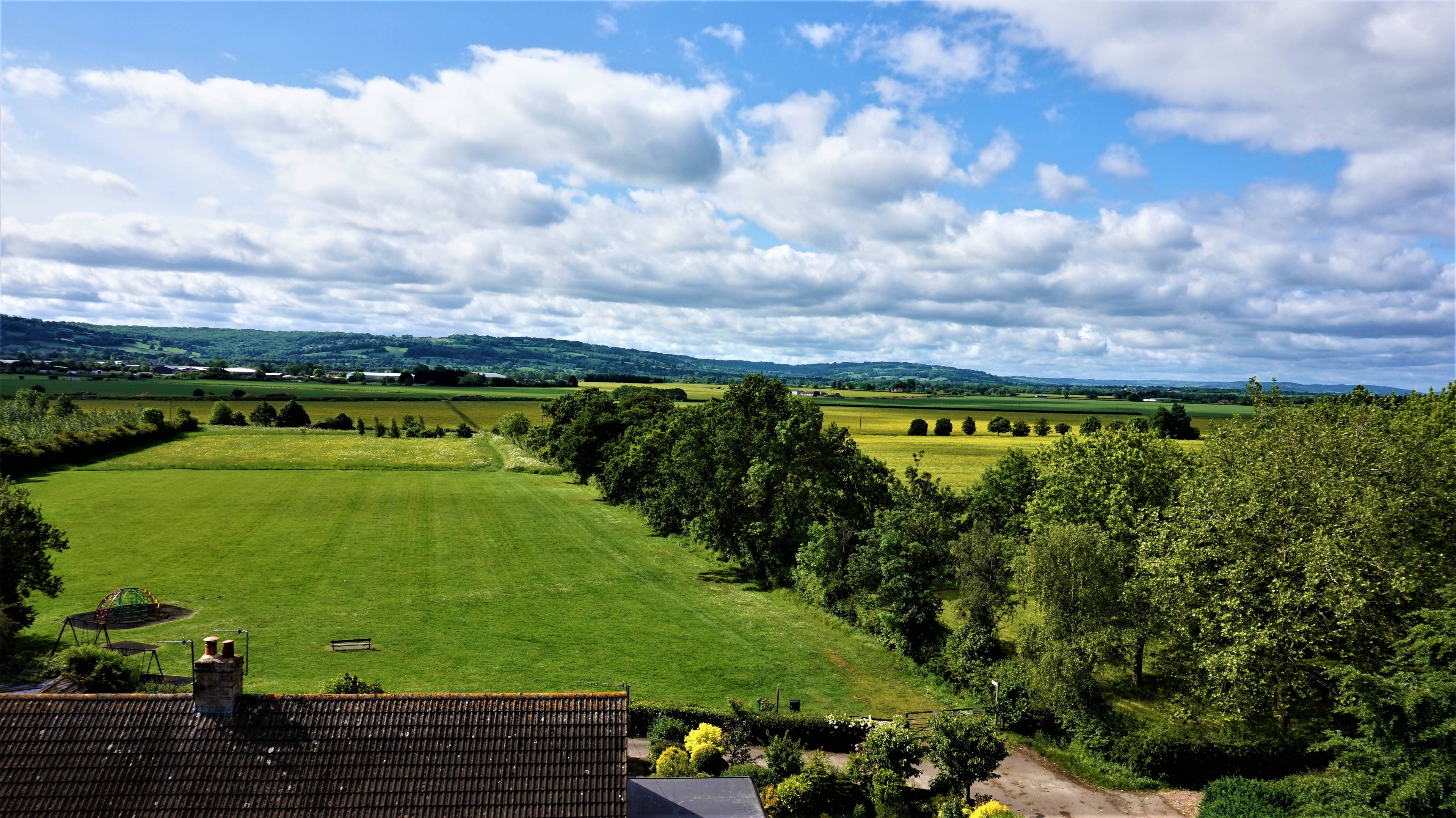 view