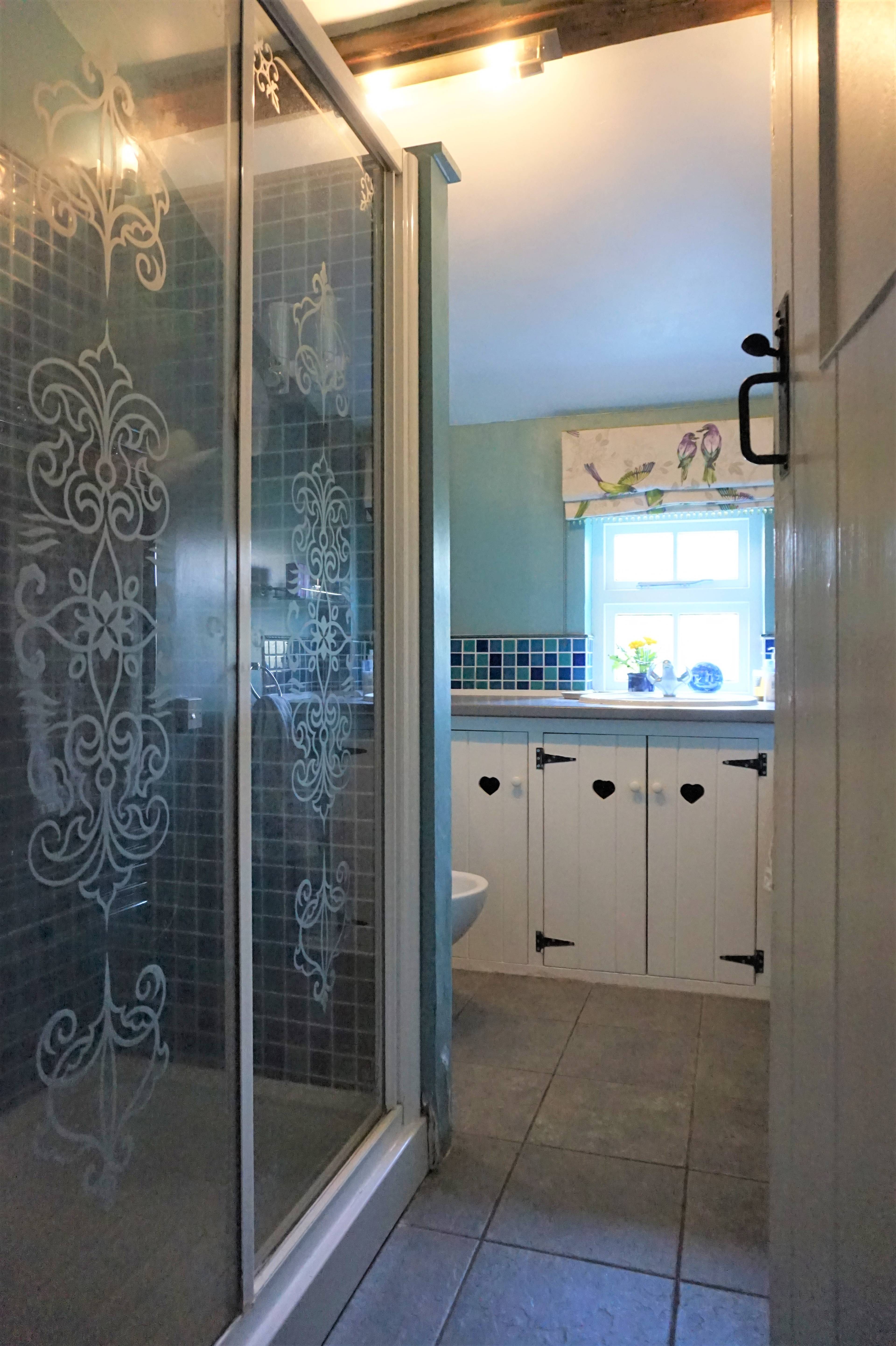 Downstairs Shower