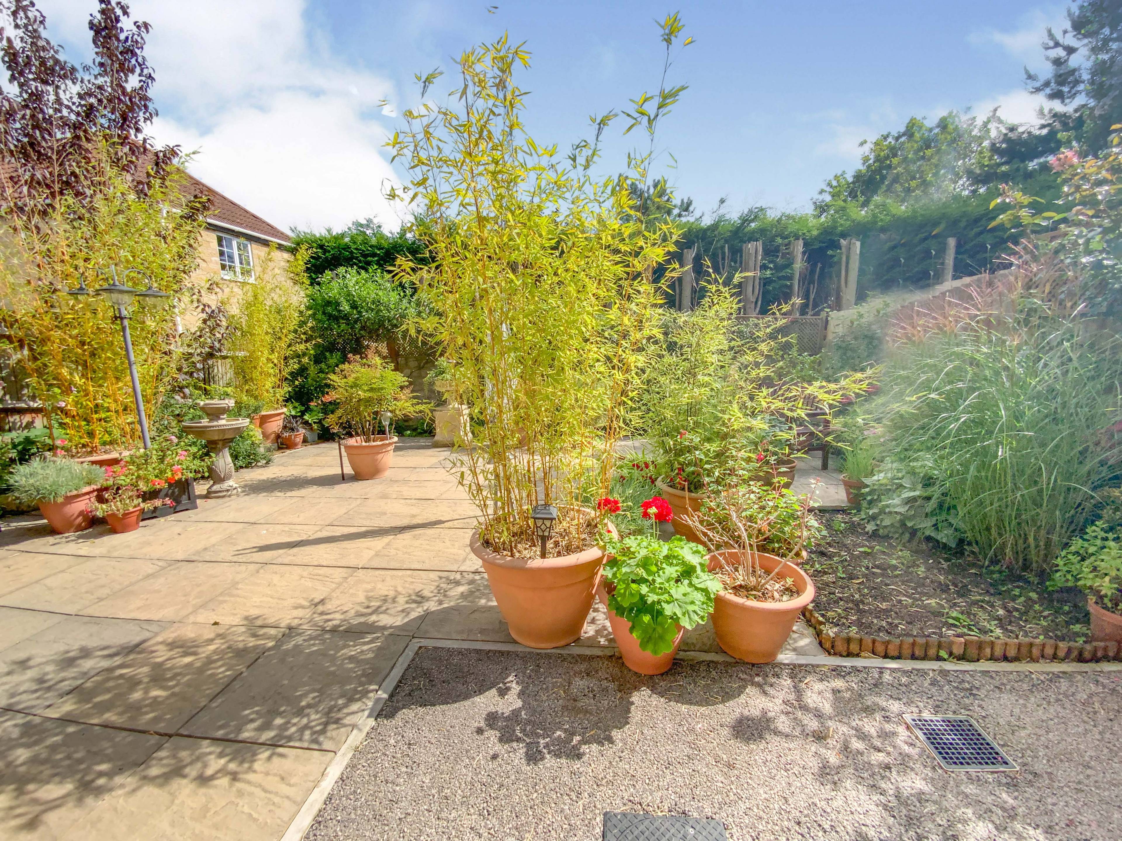 Garden