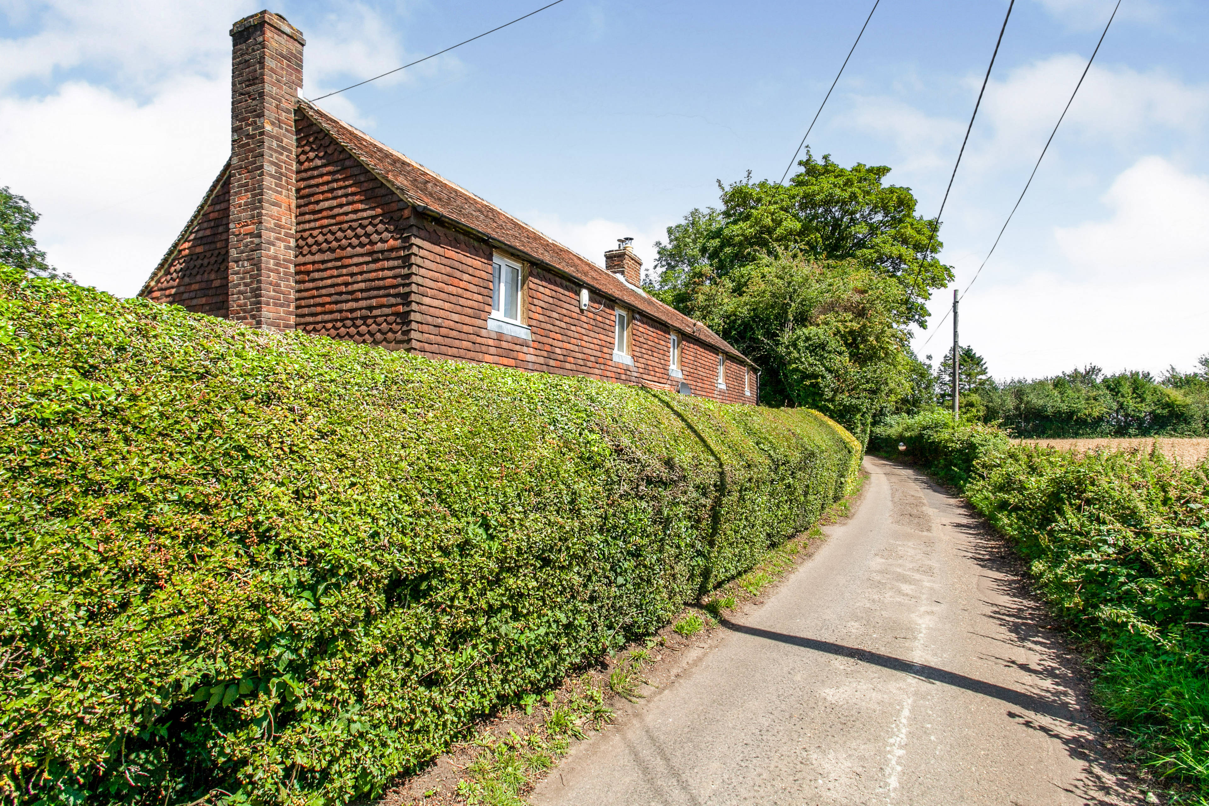 The Property