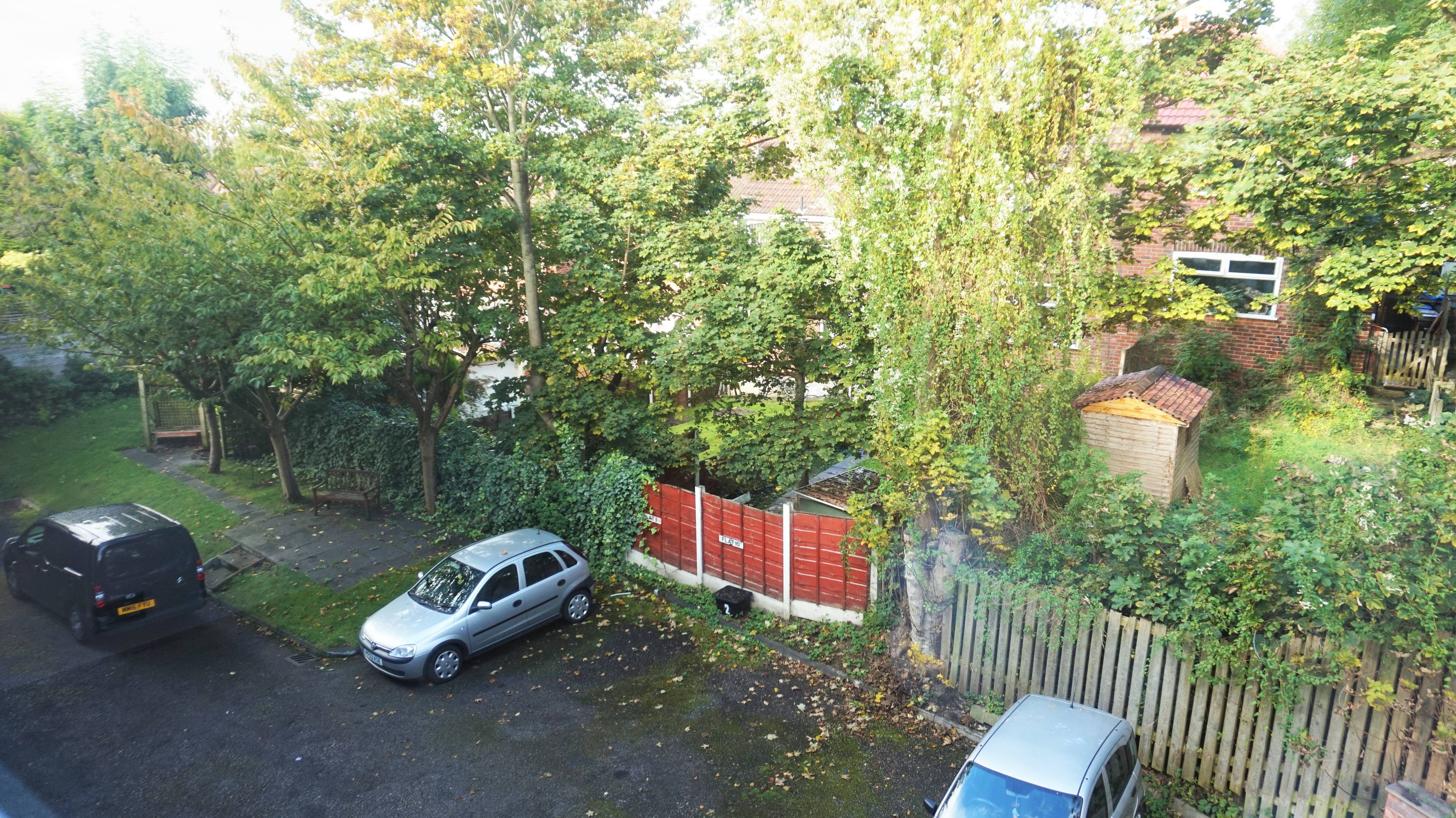 Rear View
