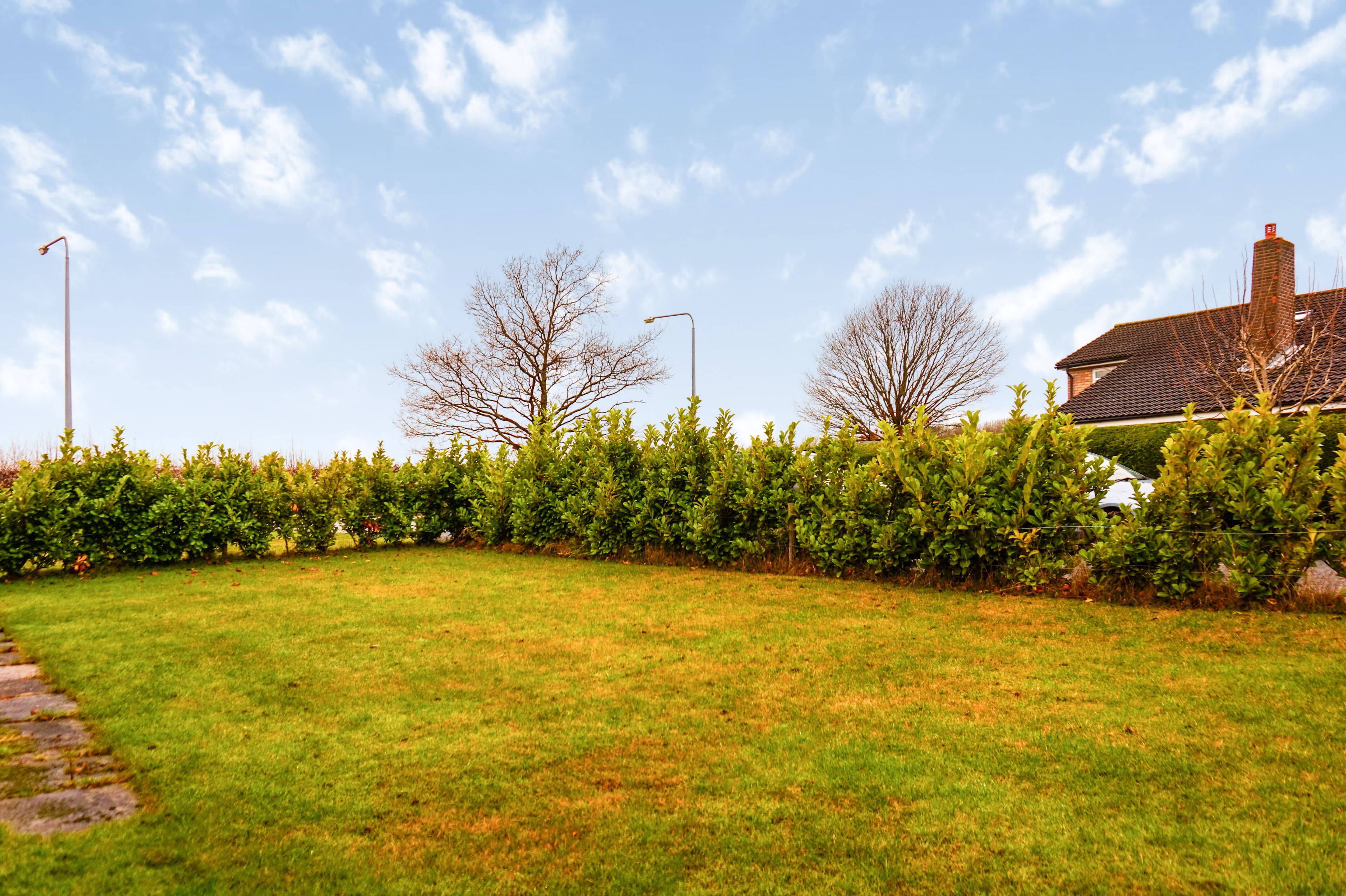 Side Garden