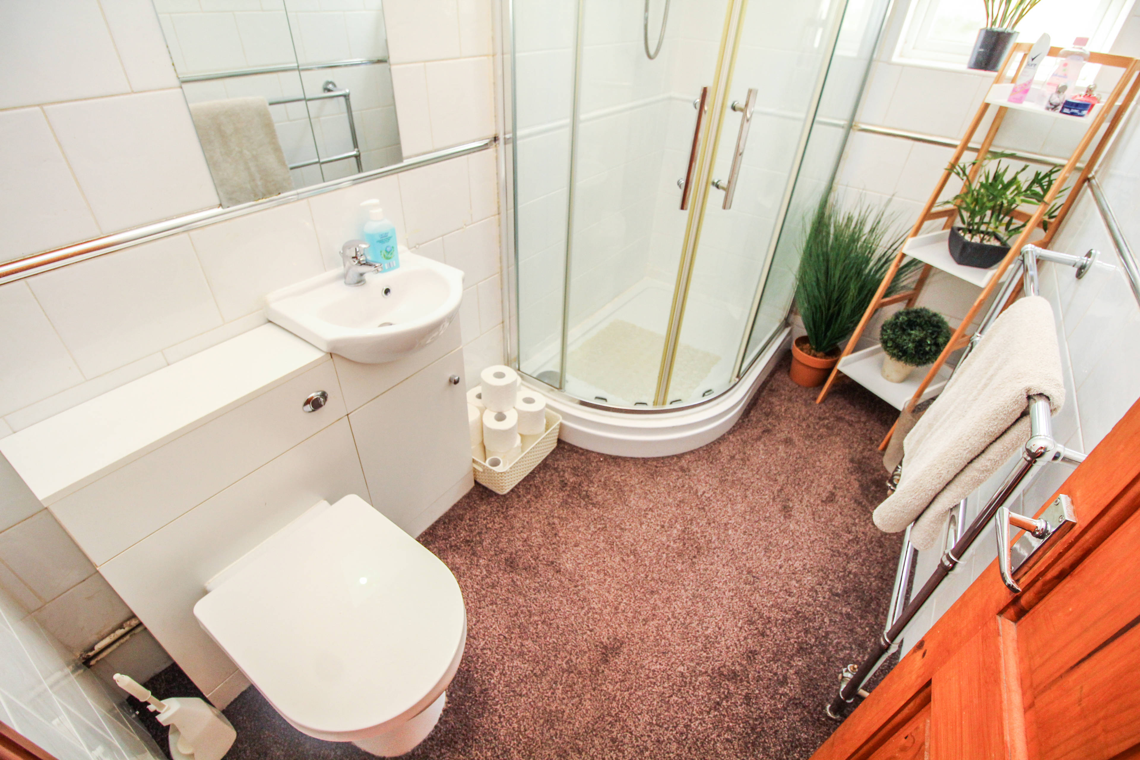 Downstairs Shower