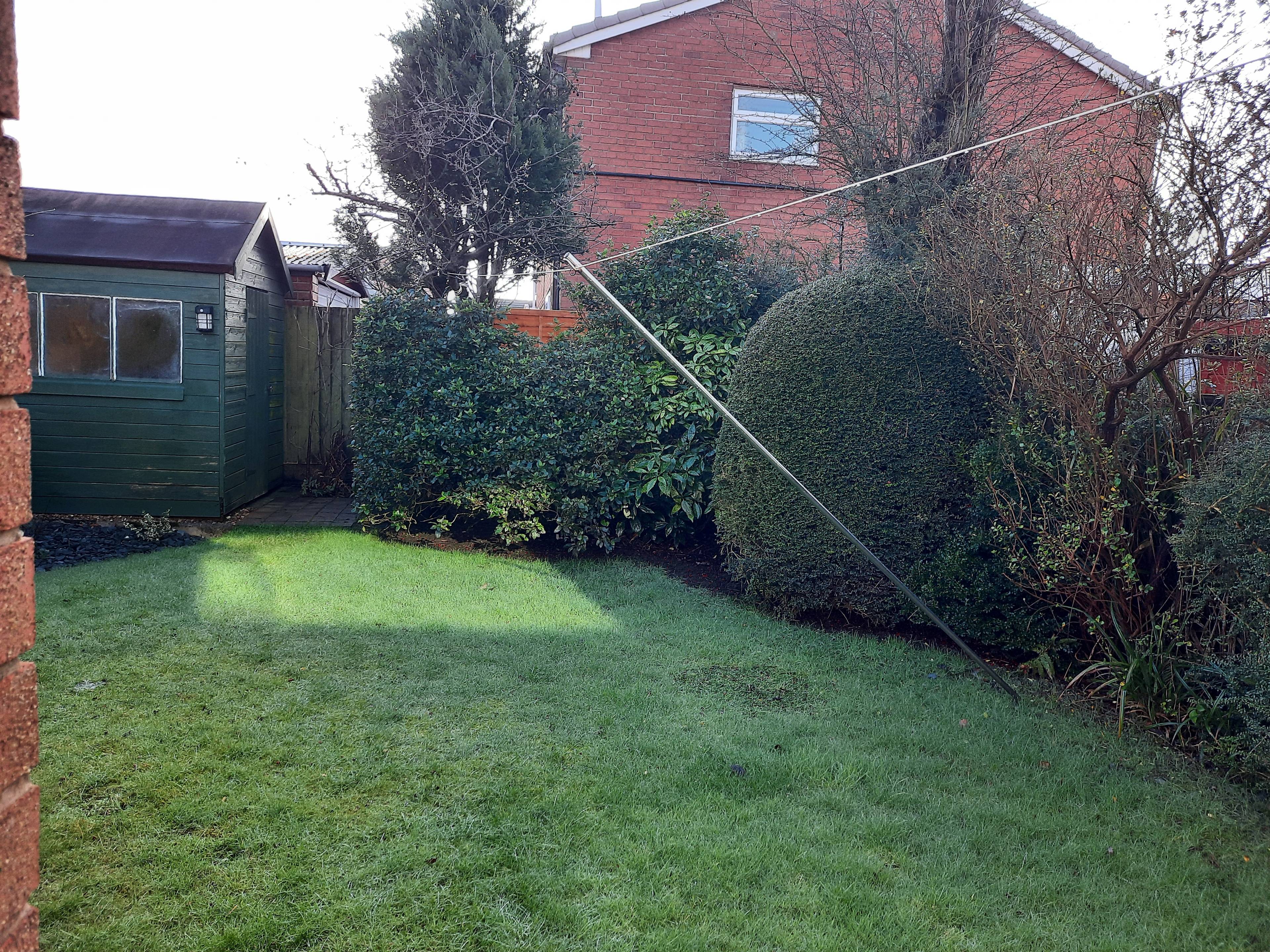 Mature Garden