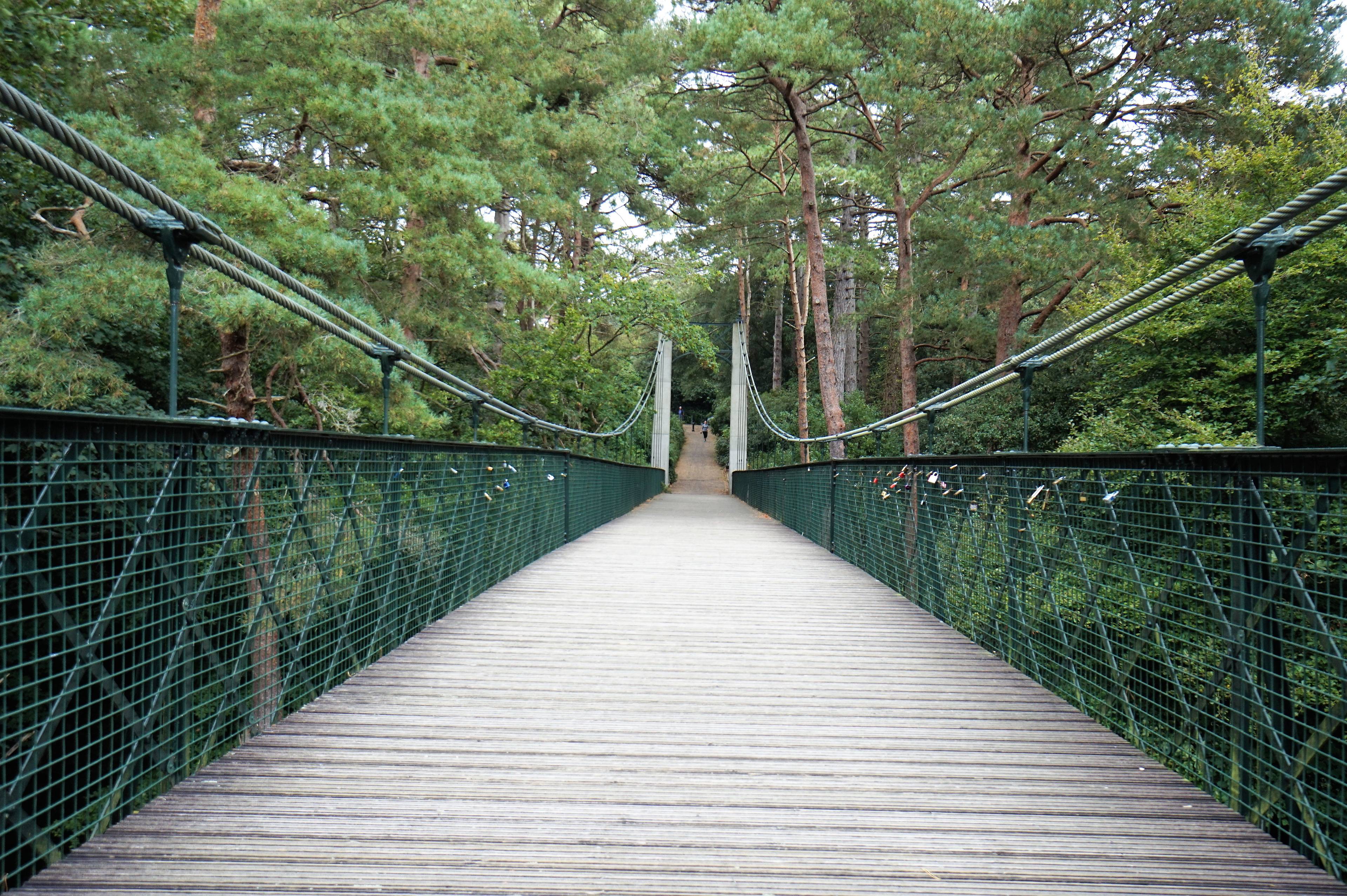 Local Area