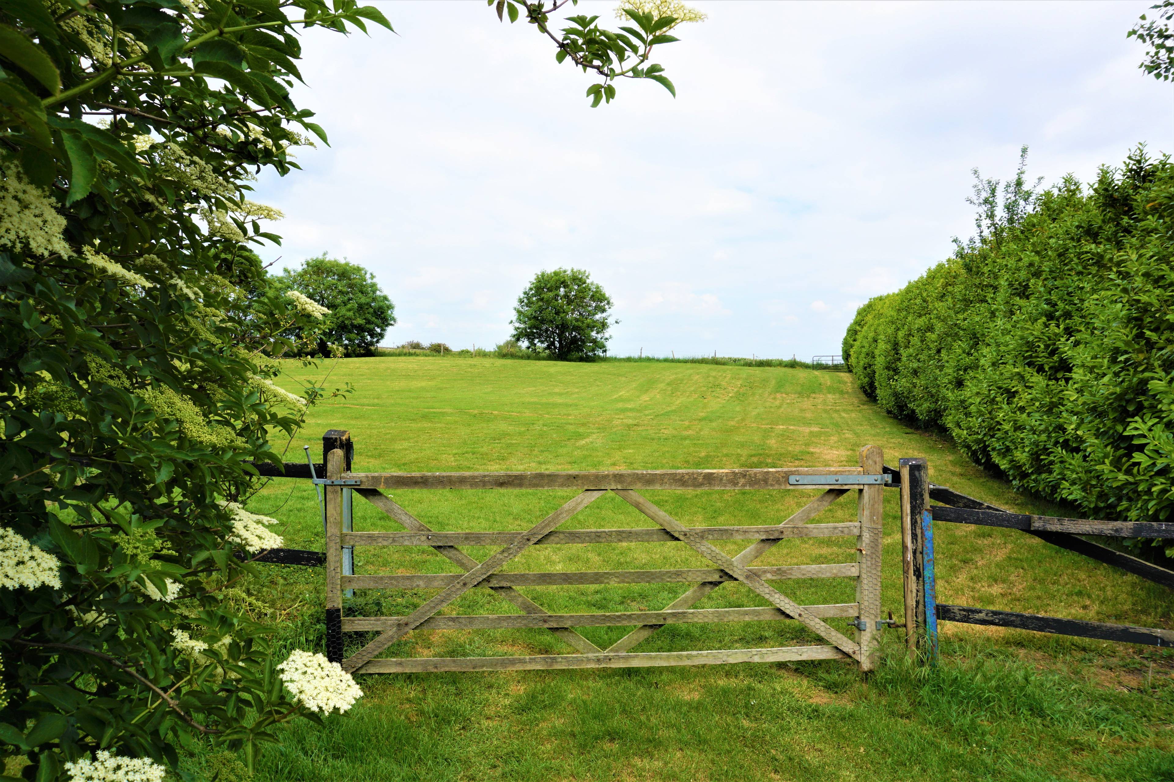 Gardens