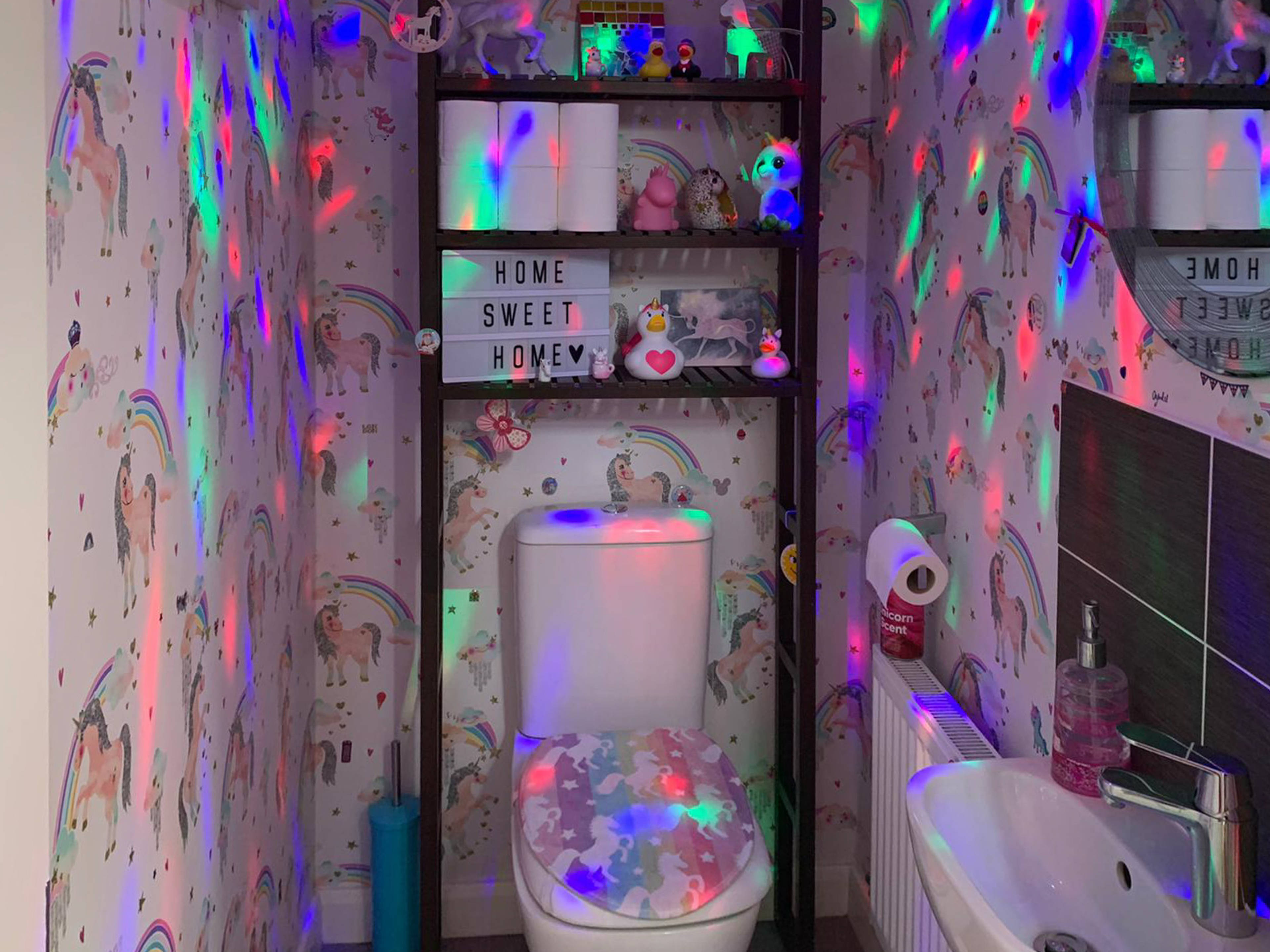 Downstairs Cloakroom