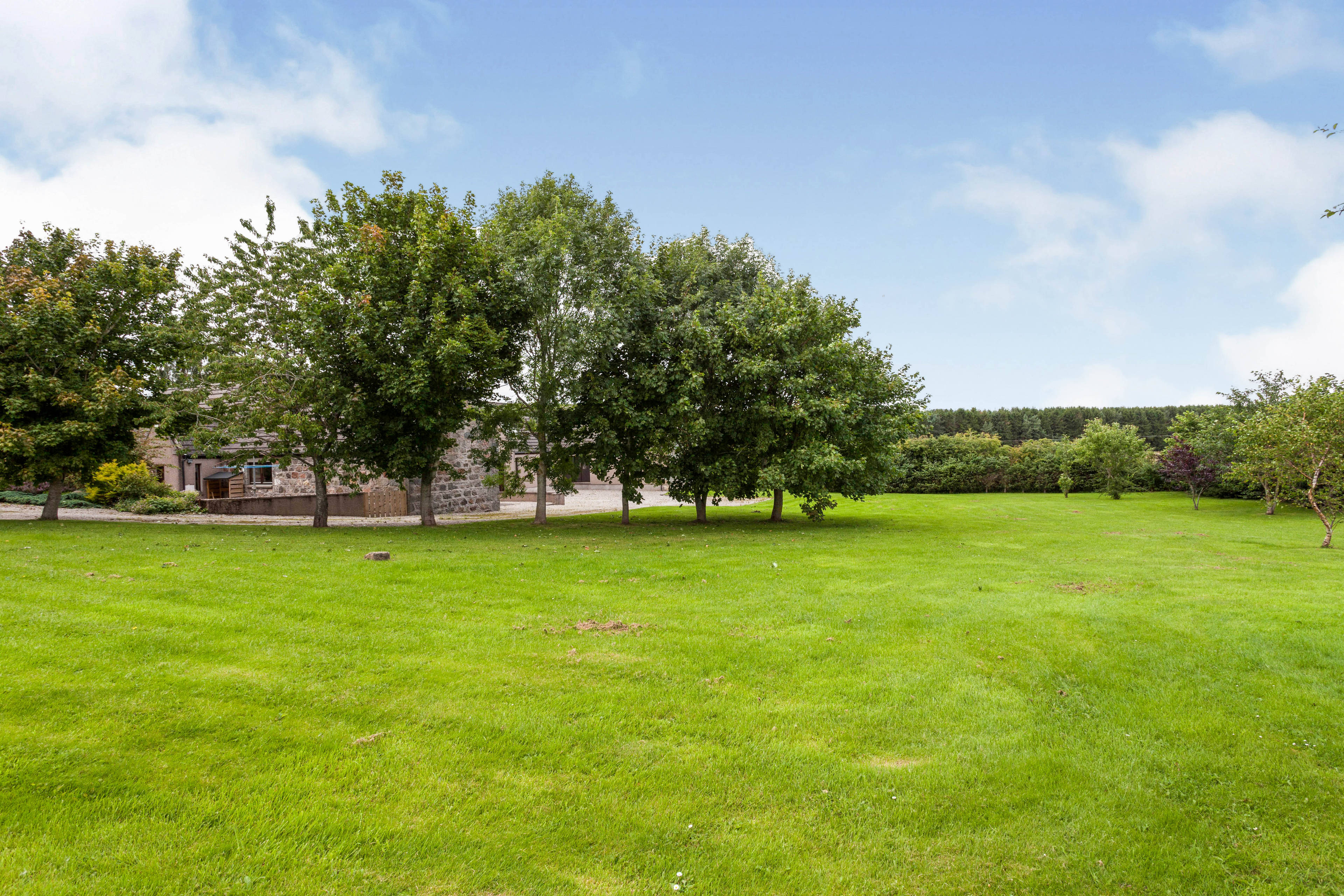 Grounds