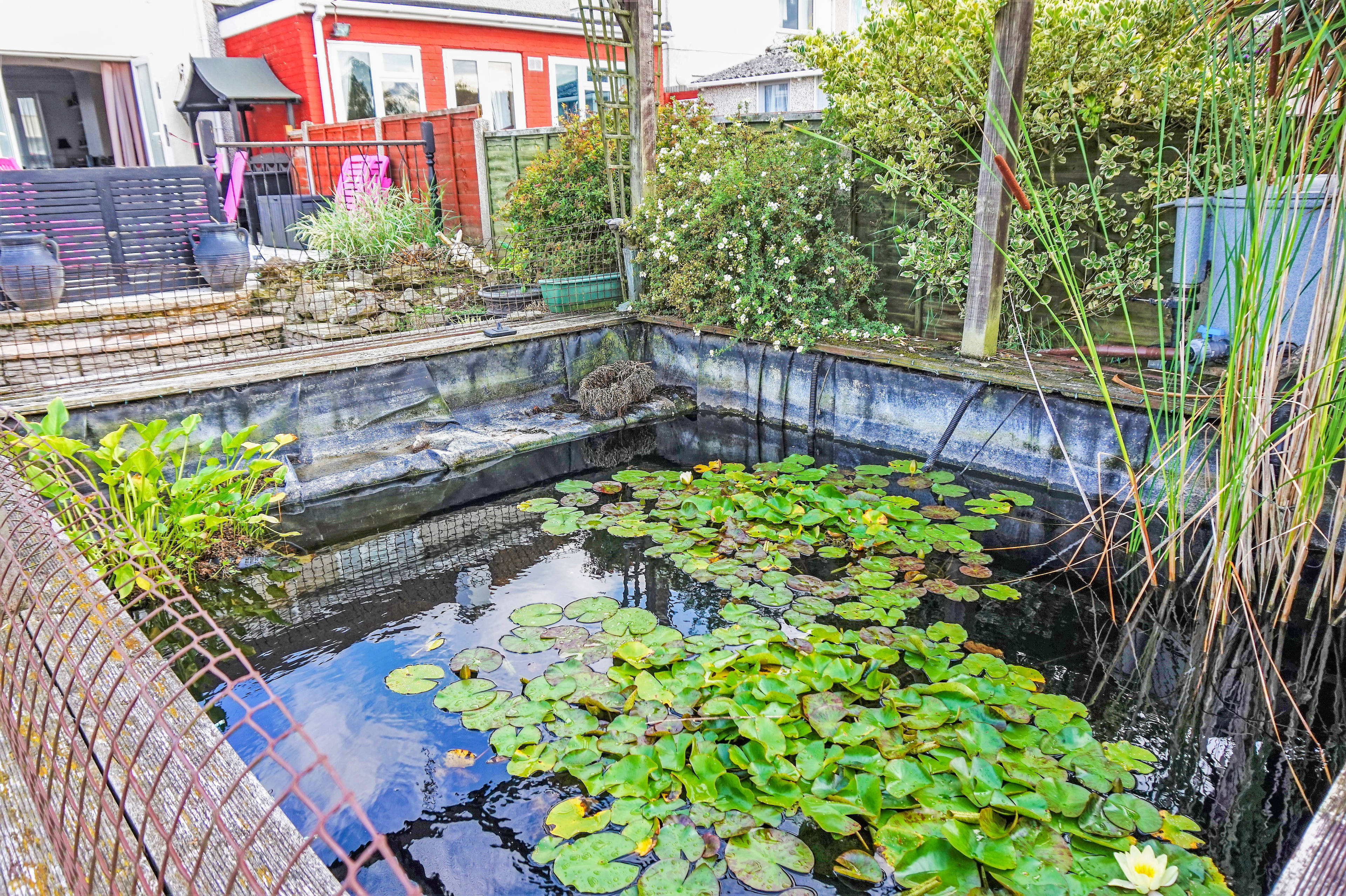 Pond