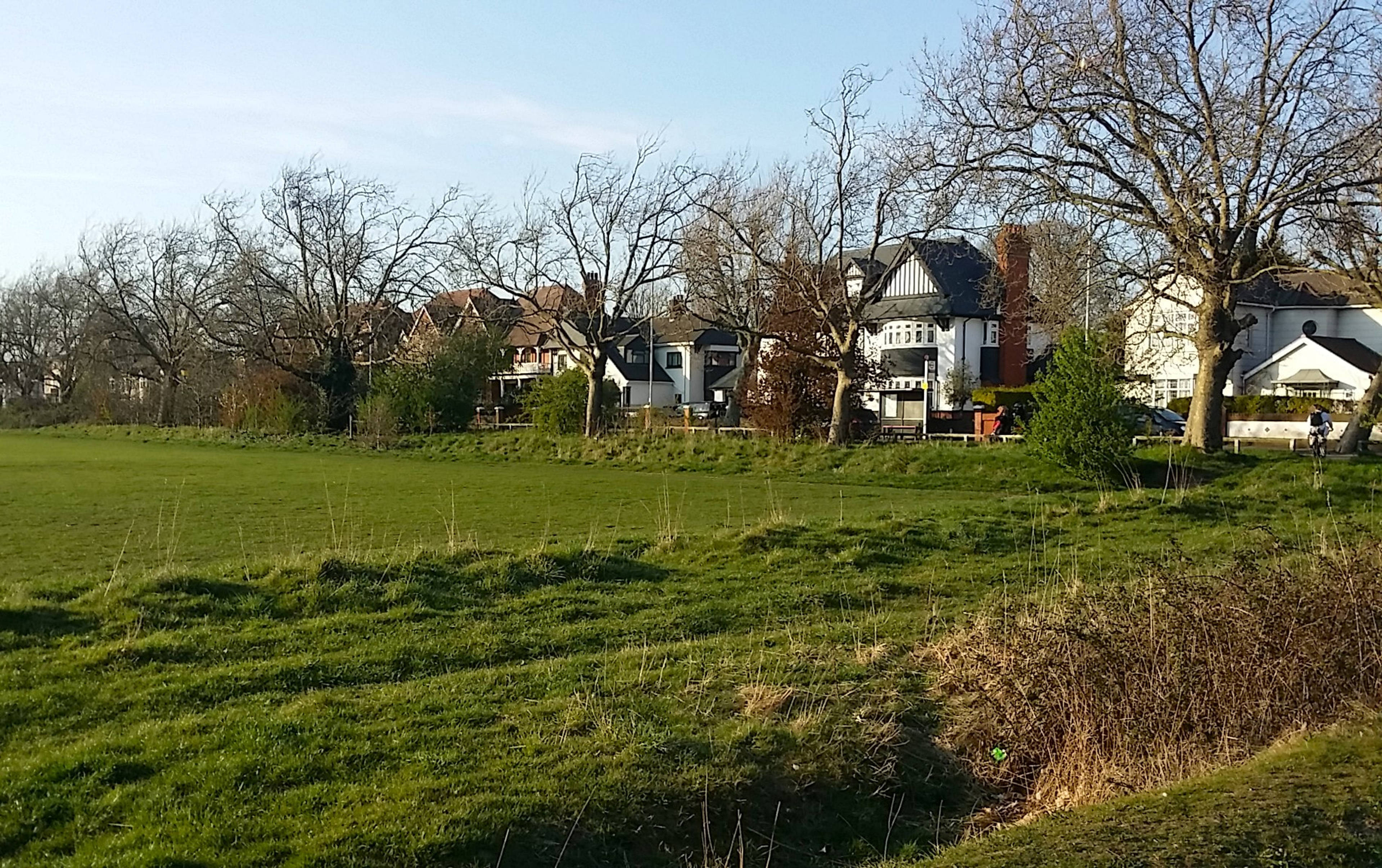 Local Area Two