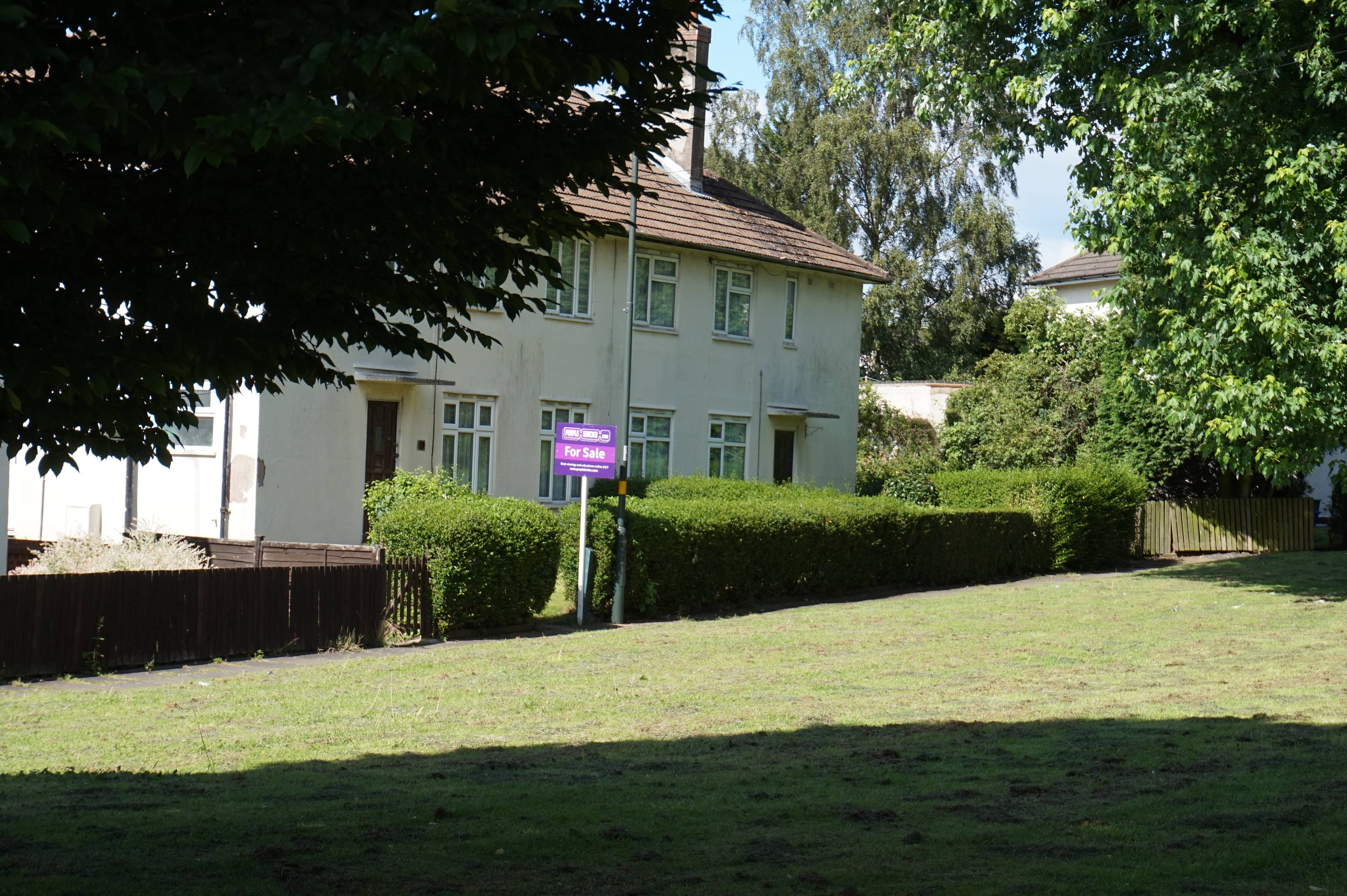 Front View