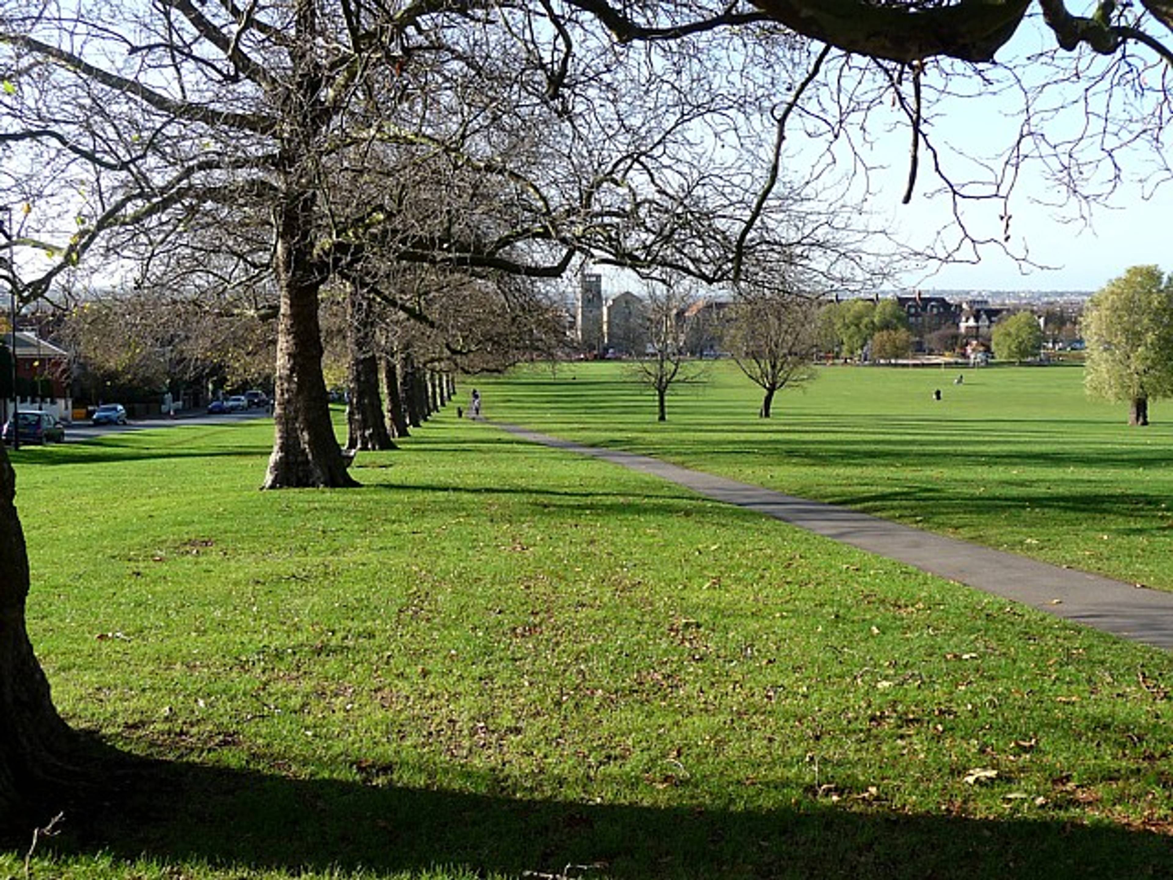 Nearby Park