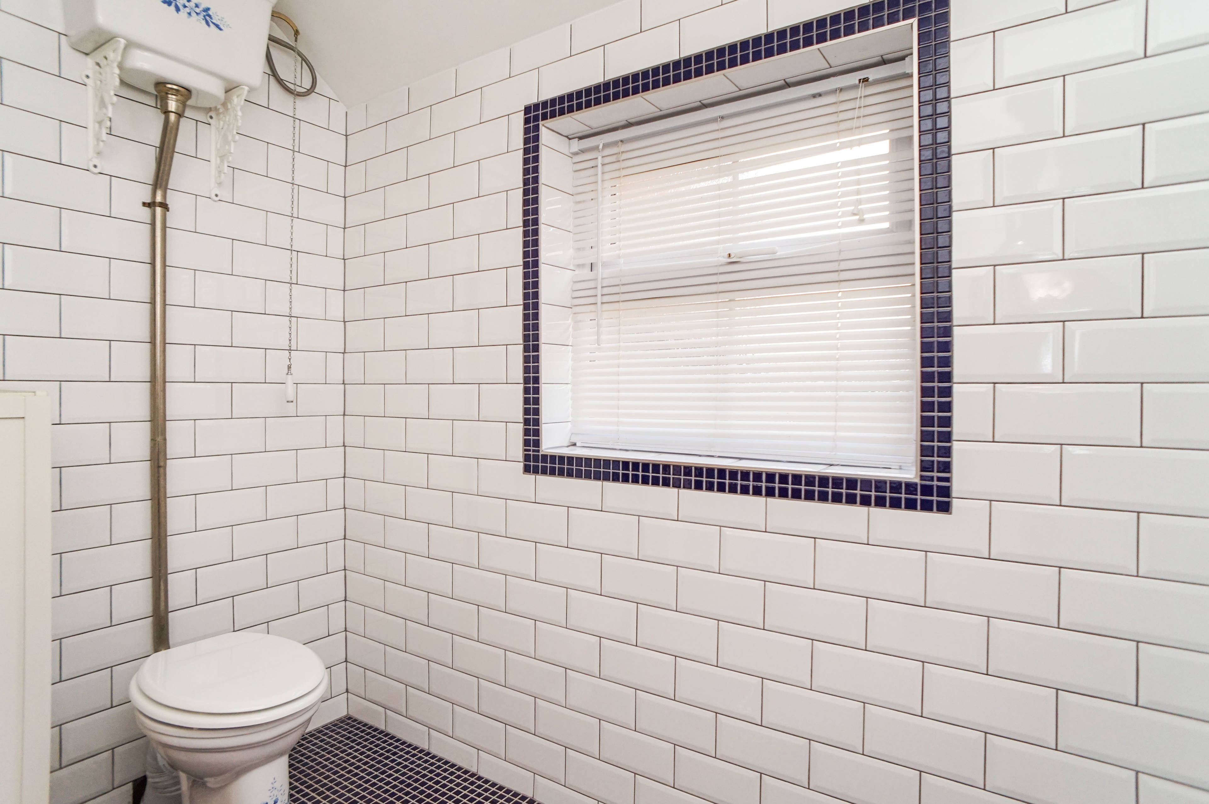 Downstairs Shower