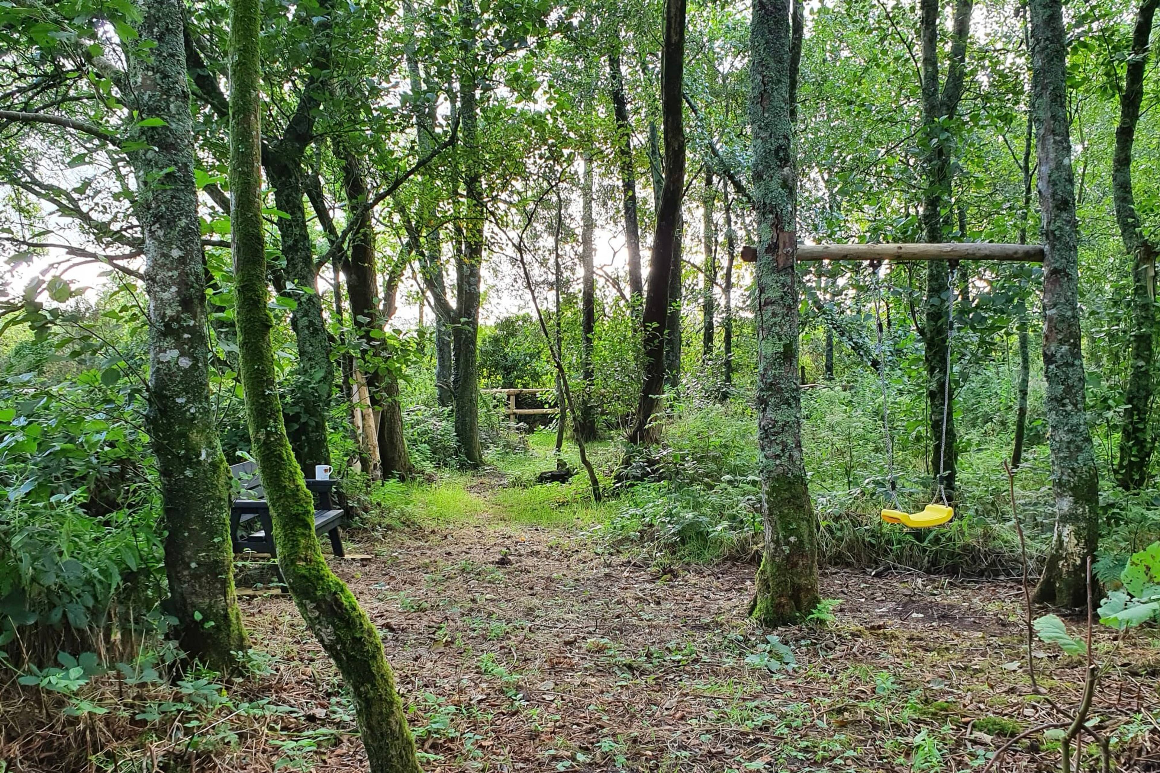 Woodland