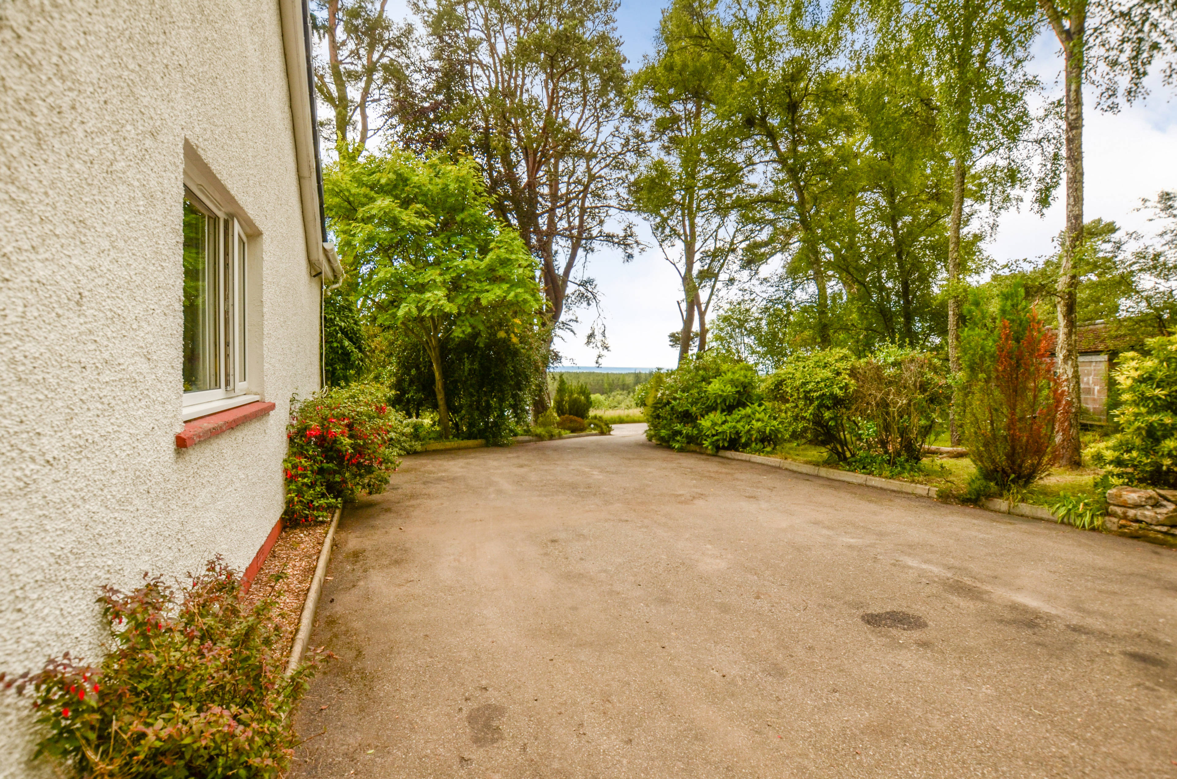 Driveway