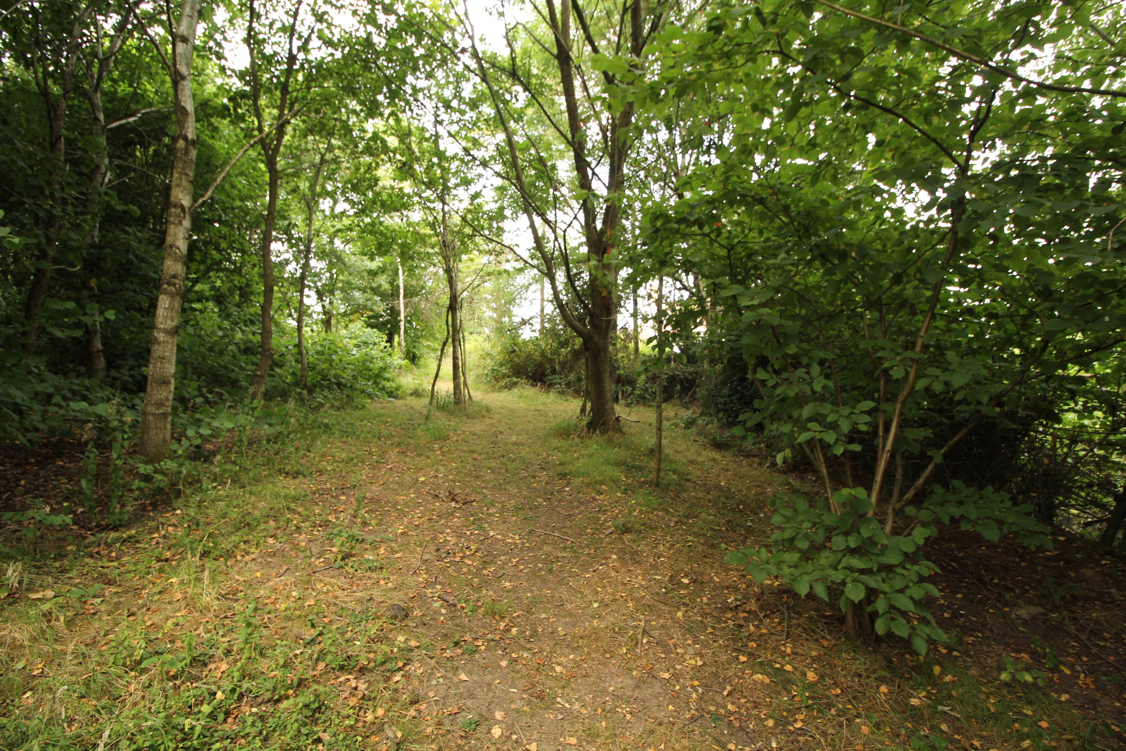 Grounds