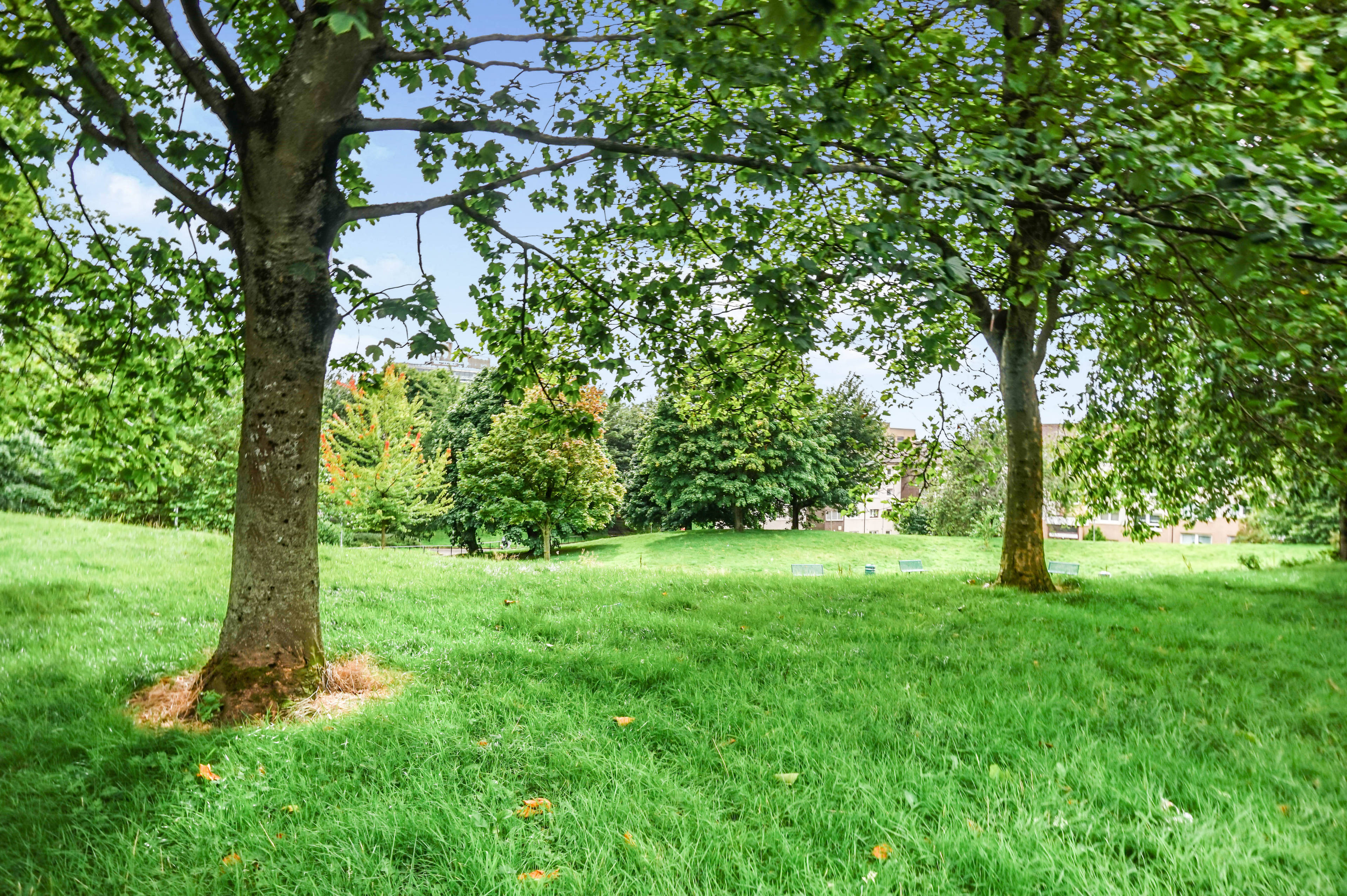 Communal Gardens
