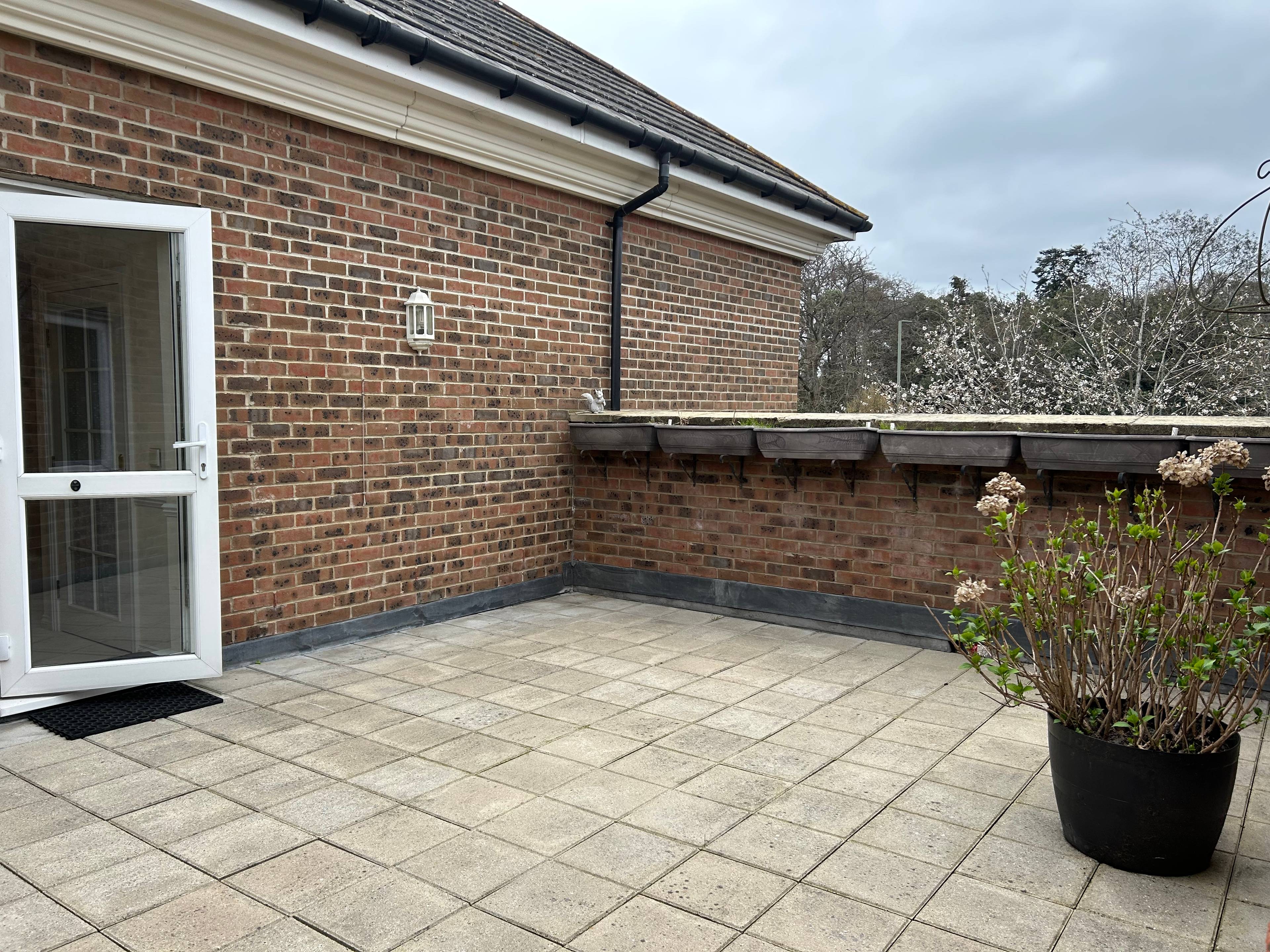 Roof Terrace