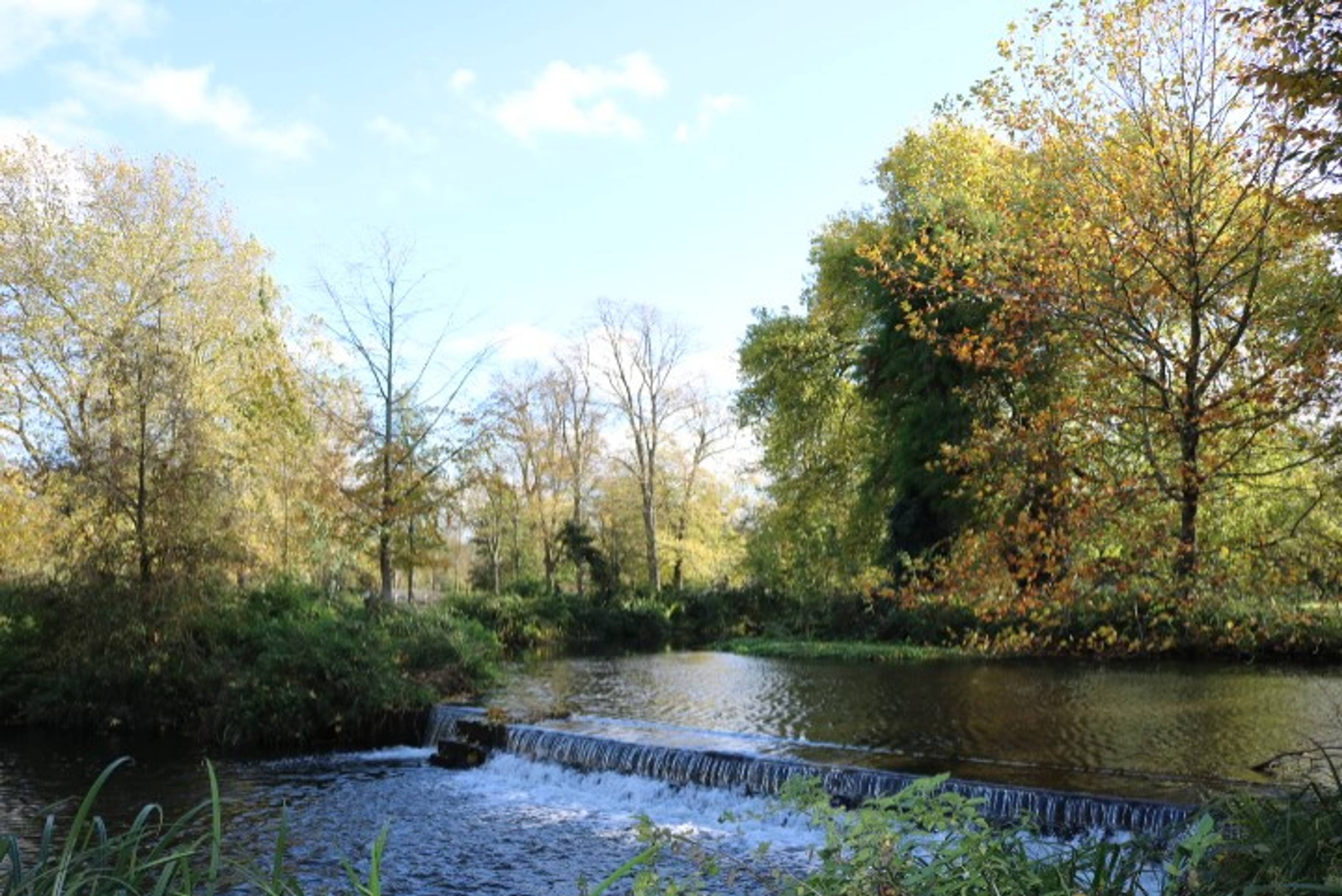 Local Area