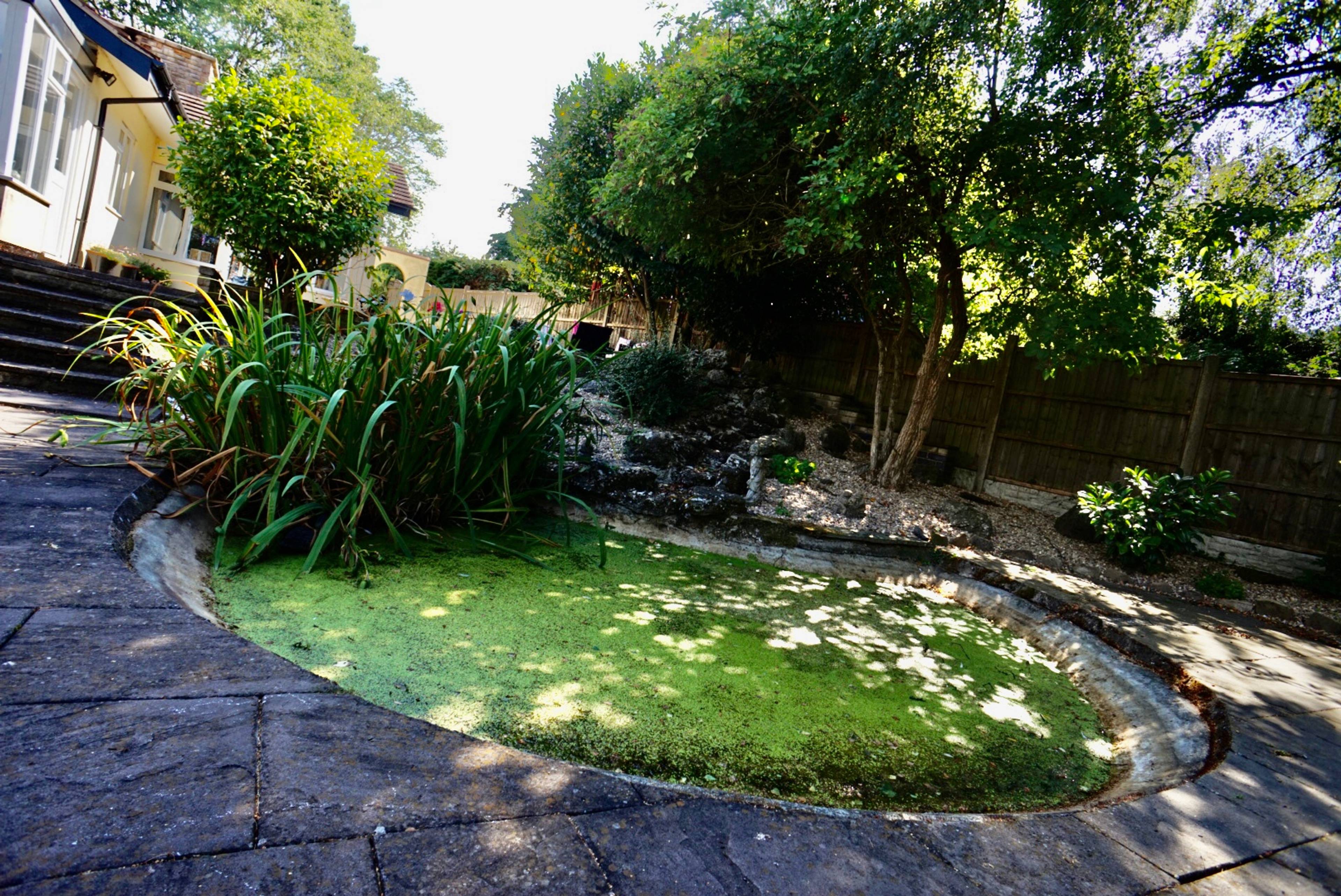 Pond
