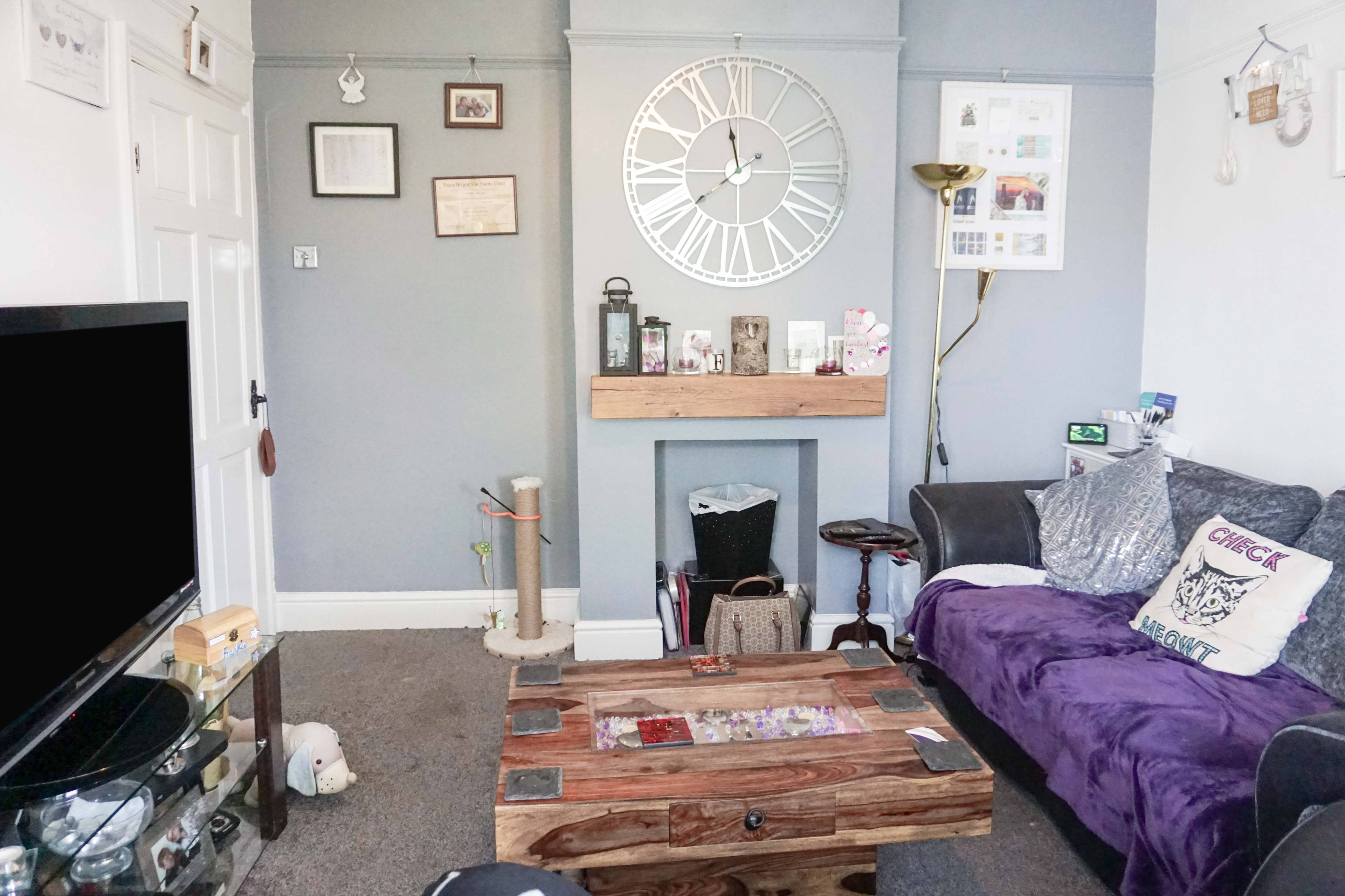 Living Room/Bedroom