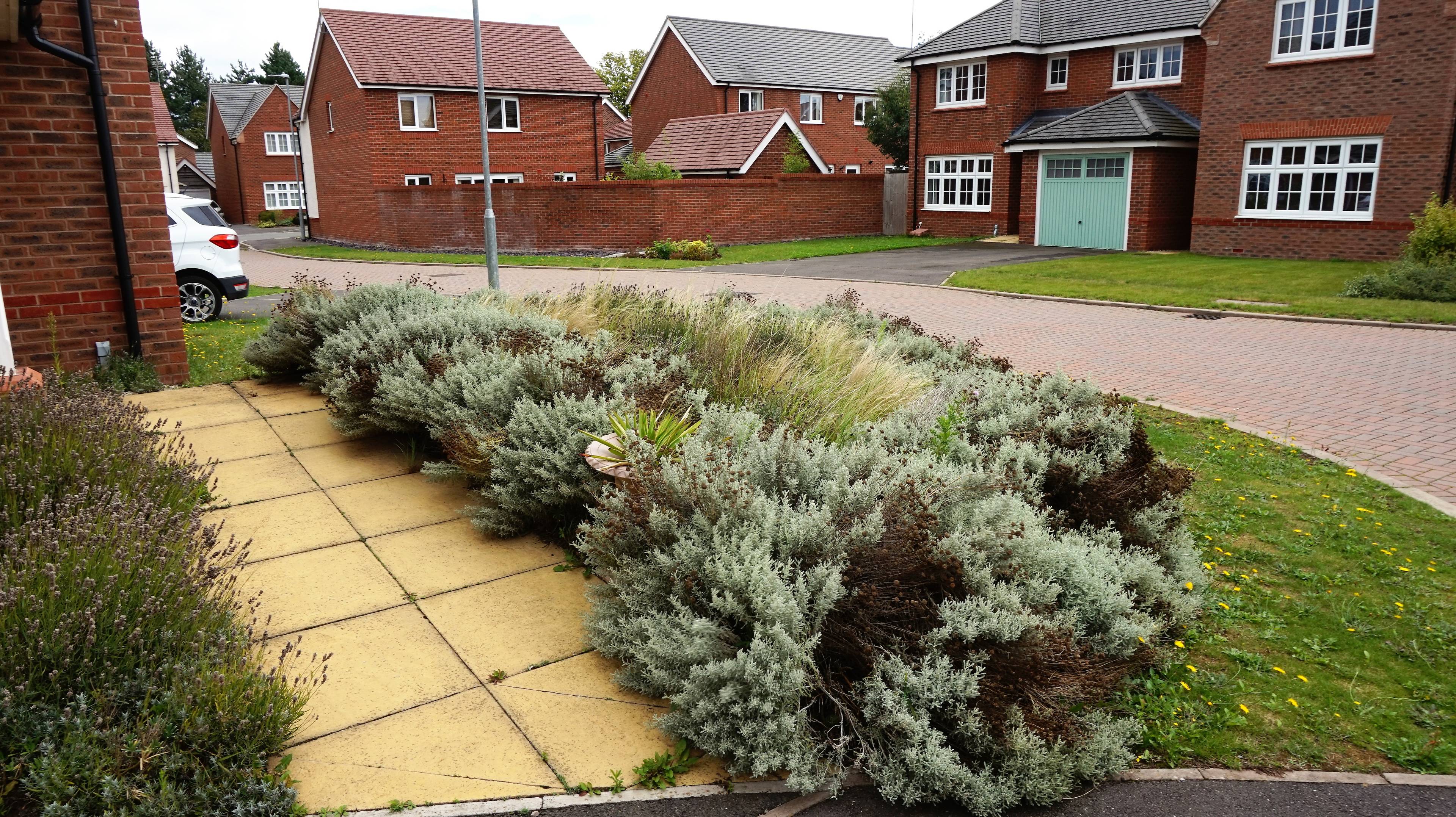 Front Garden