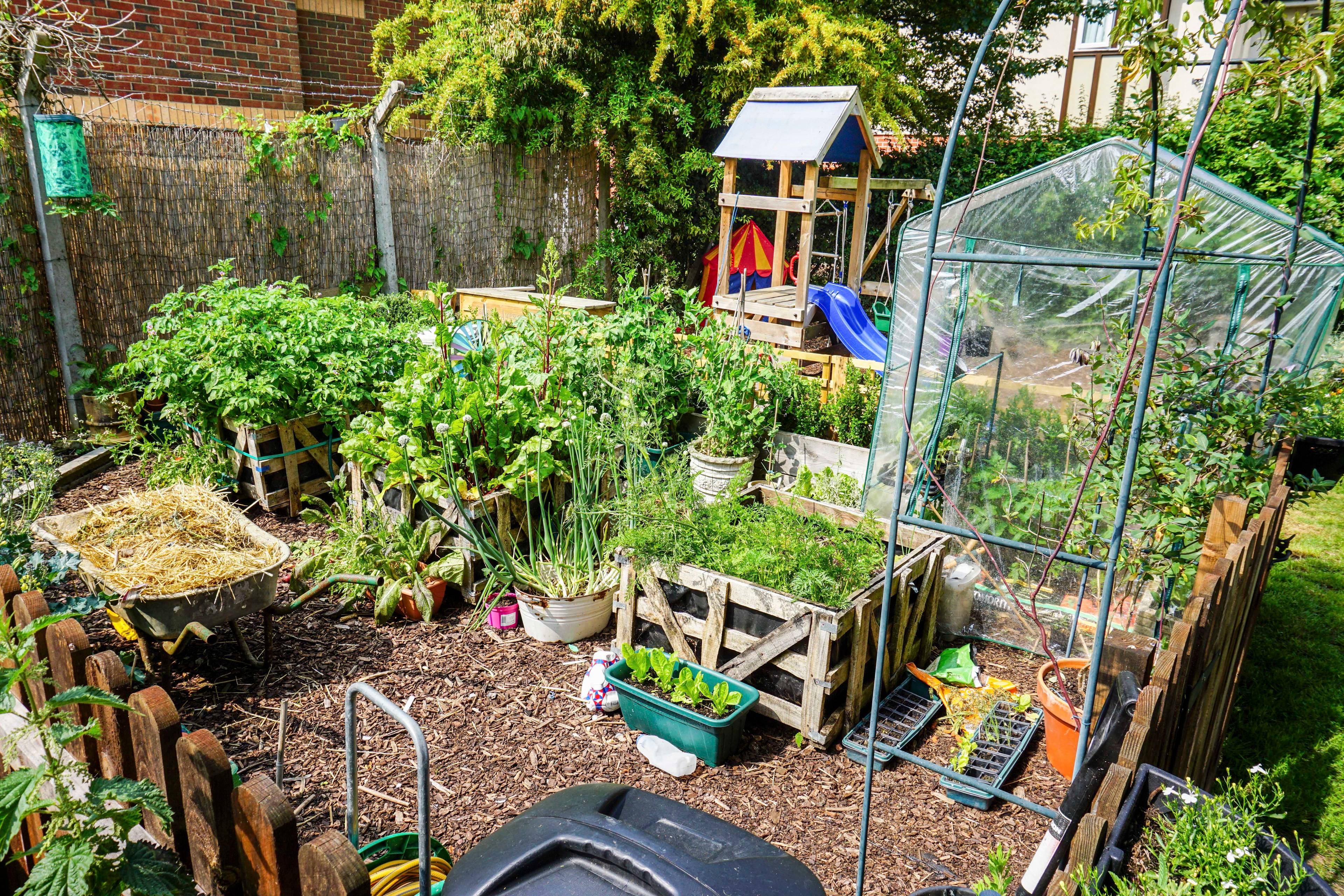 Cottage Garden