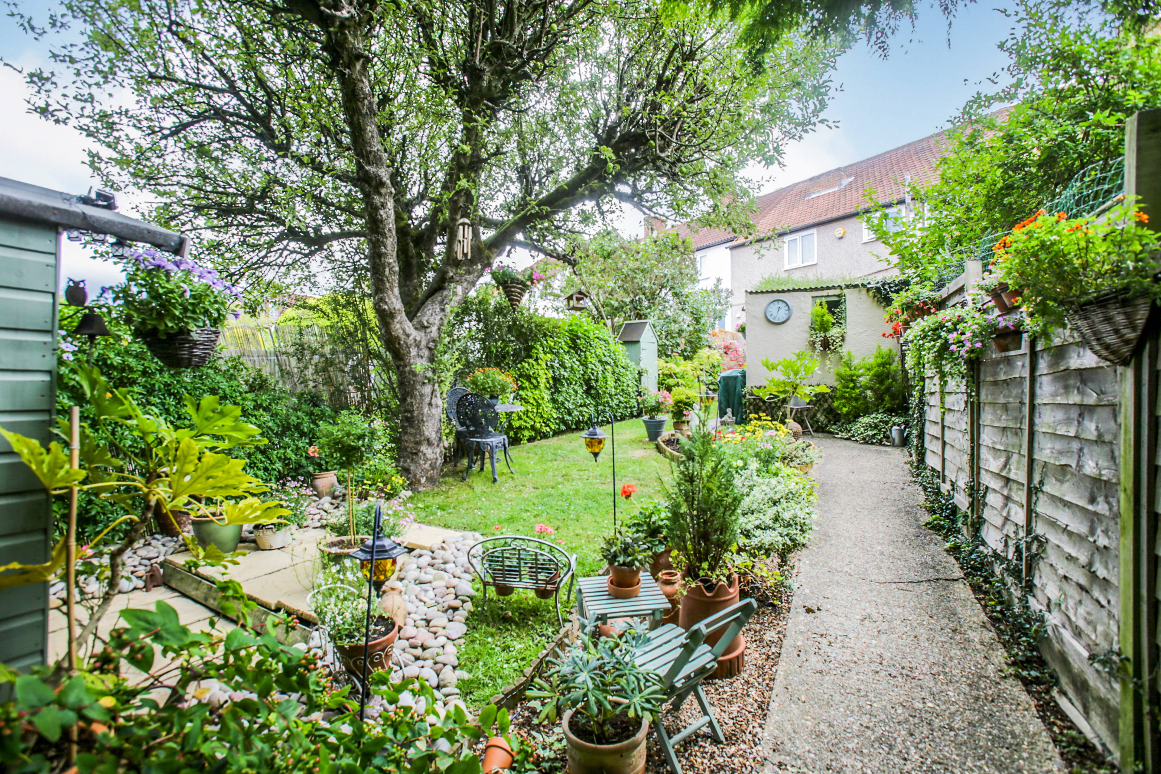 Garden
