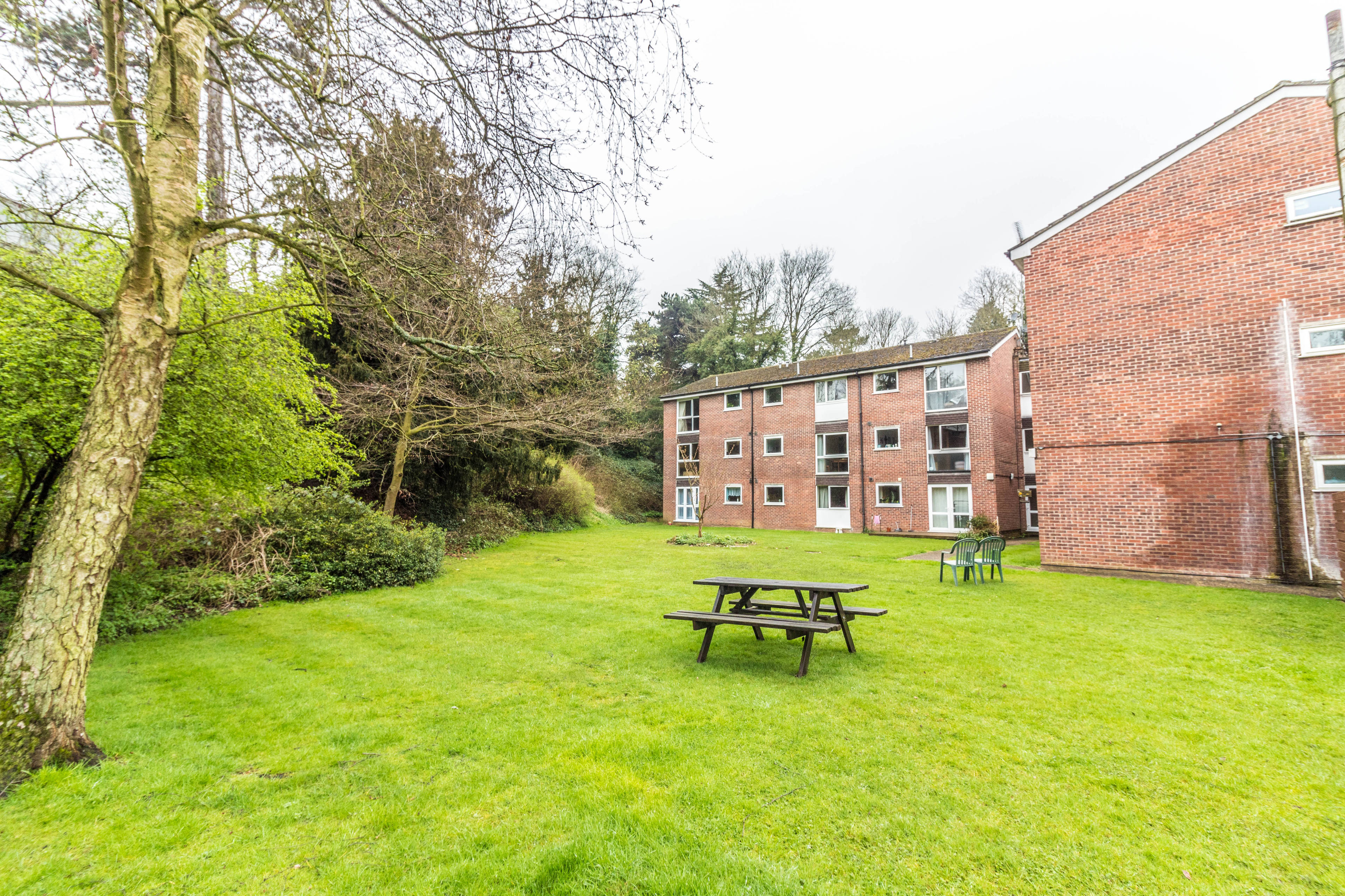 Communal Gardens