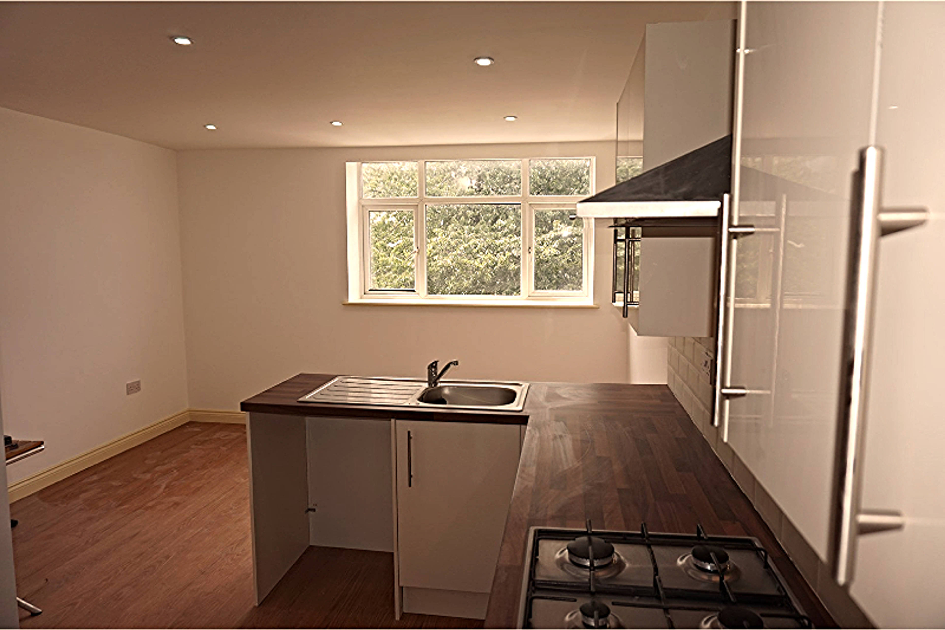 Lounge / Kitchen