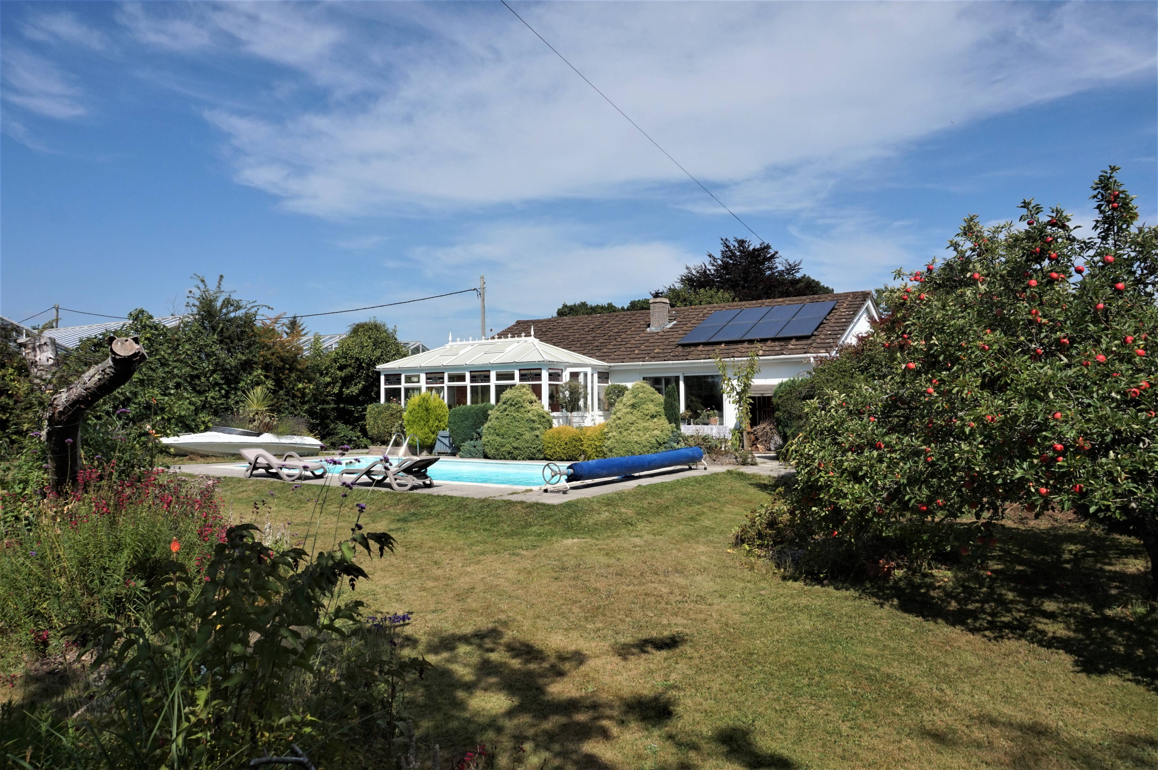 The Property