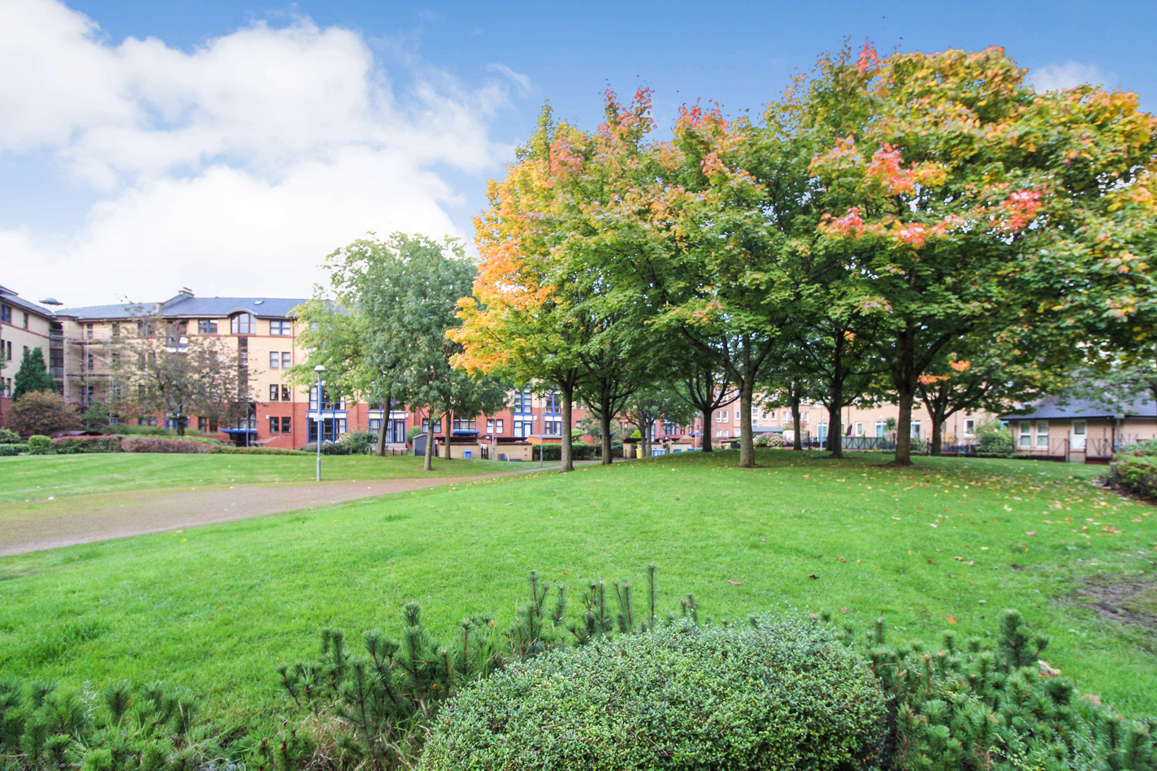 Communal Gardens