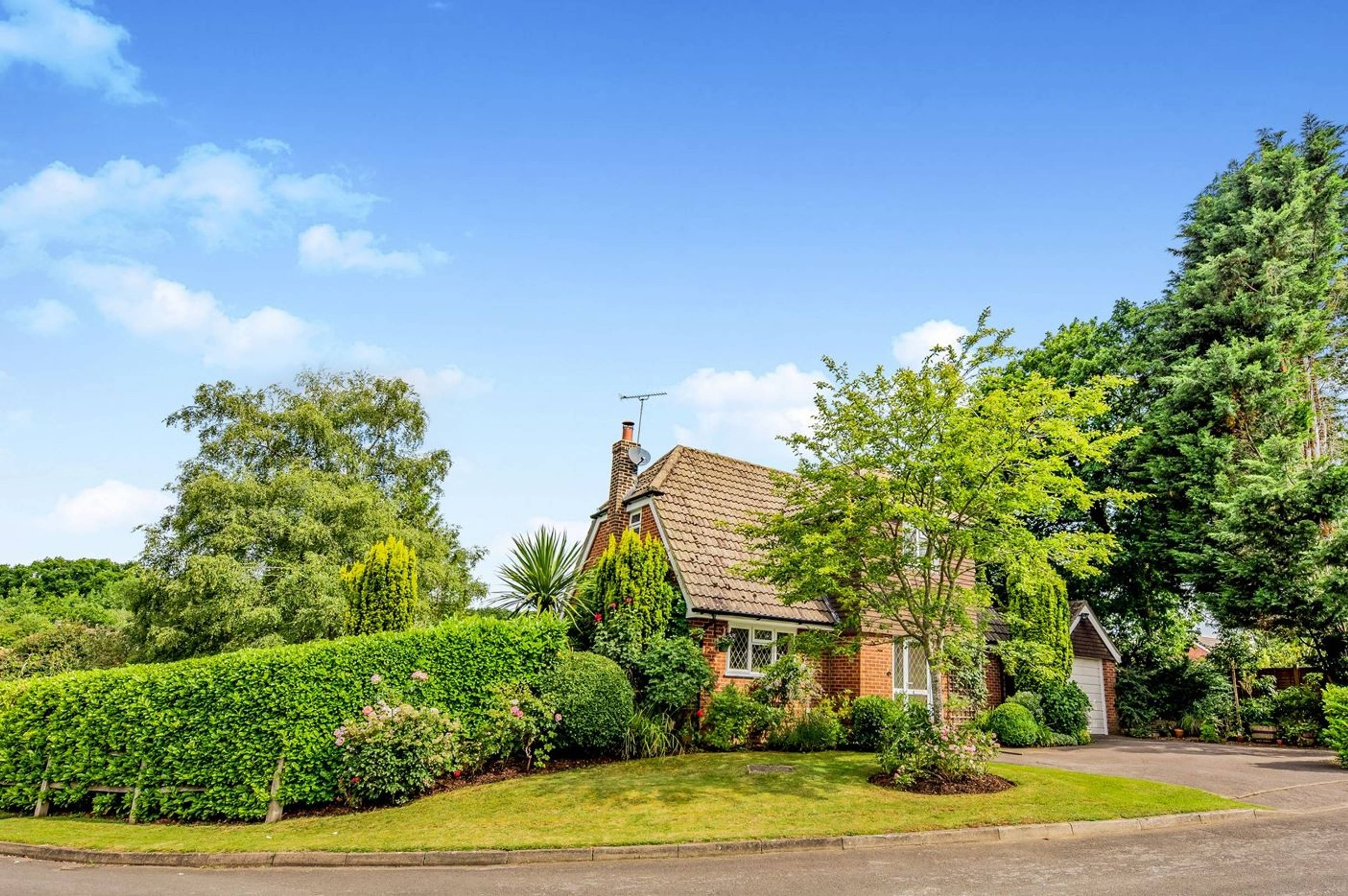 Front Garden