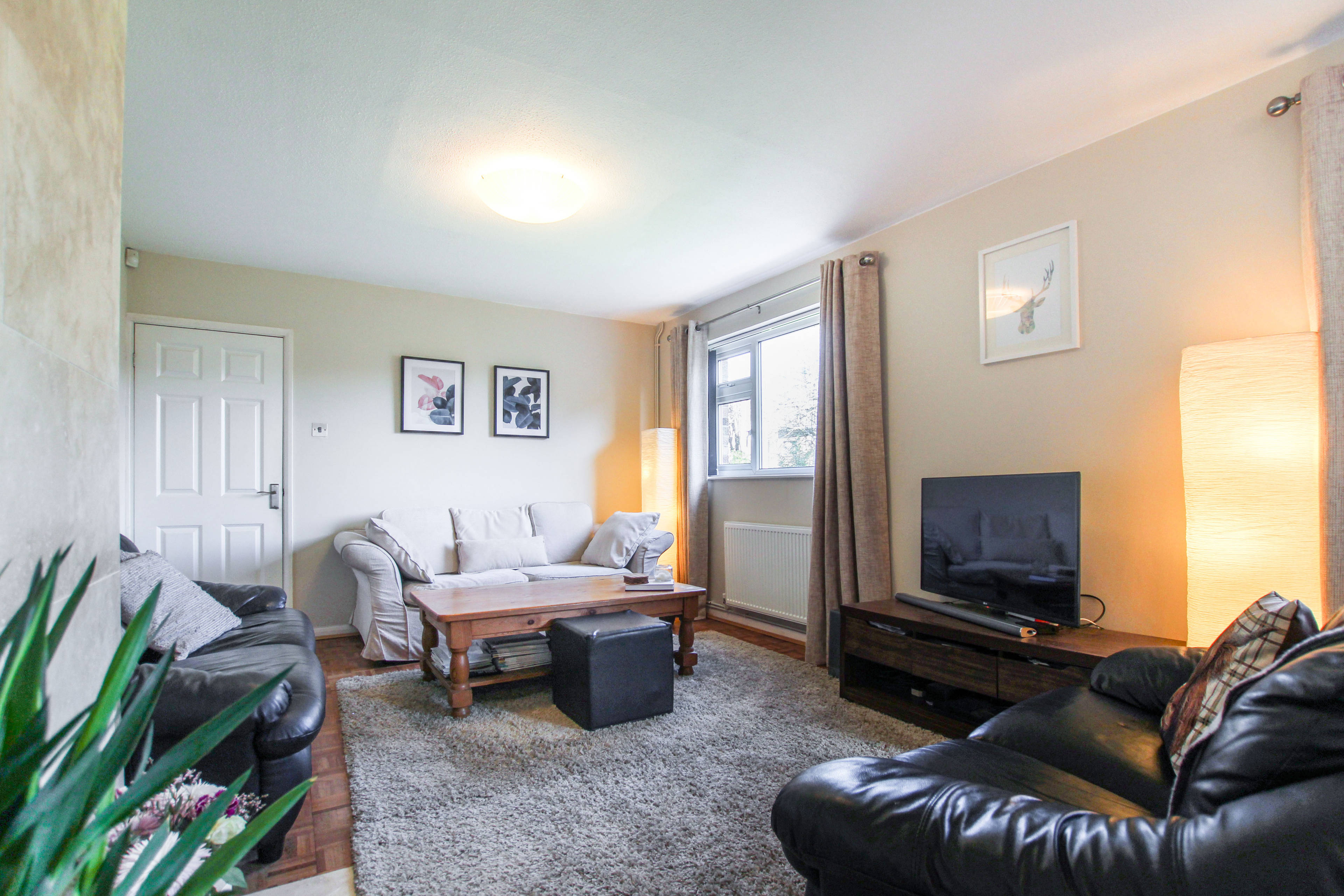 Lounge/Dining Room