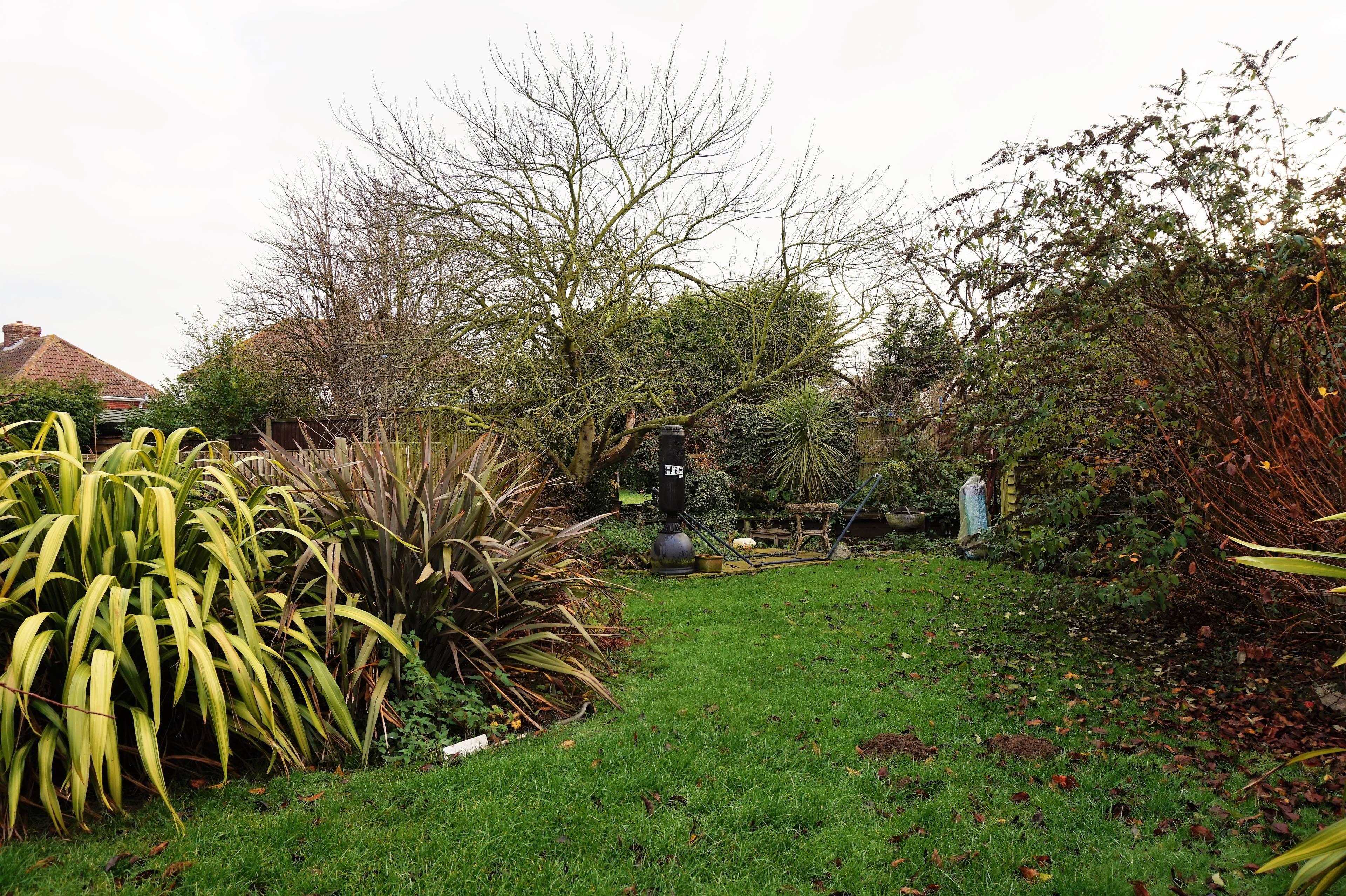 garden
