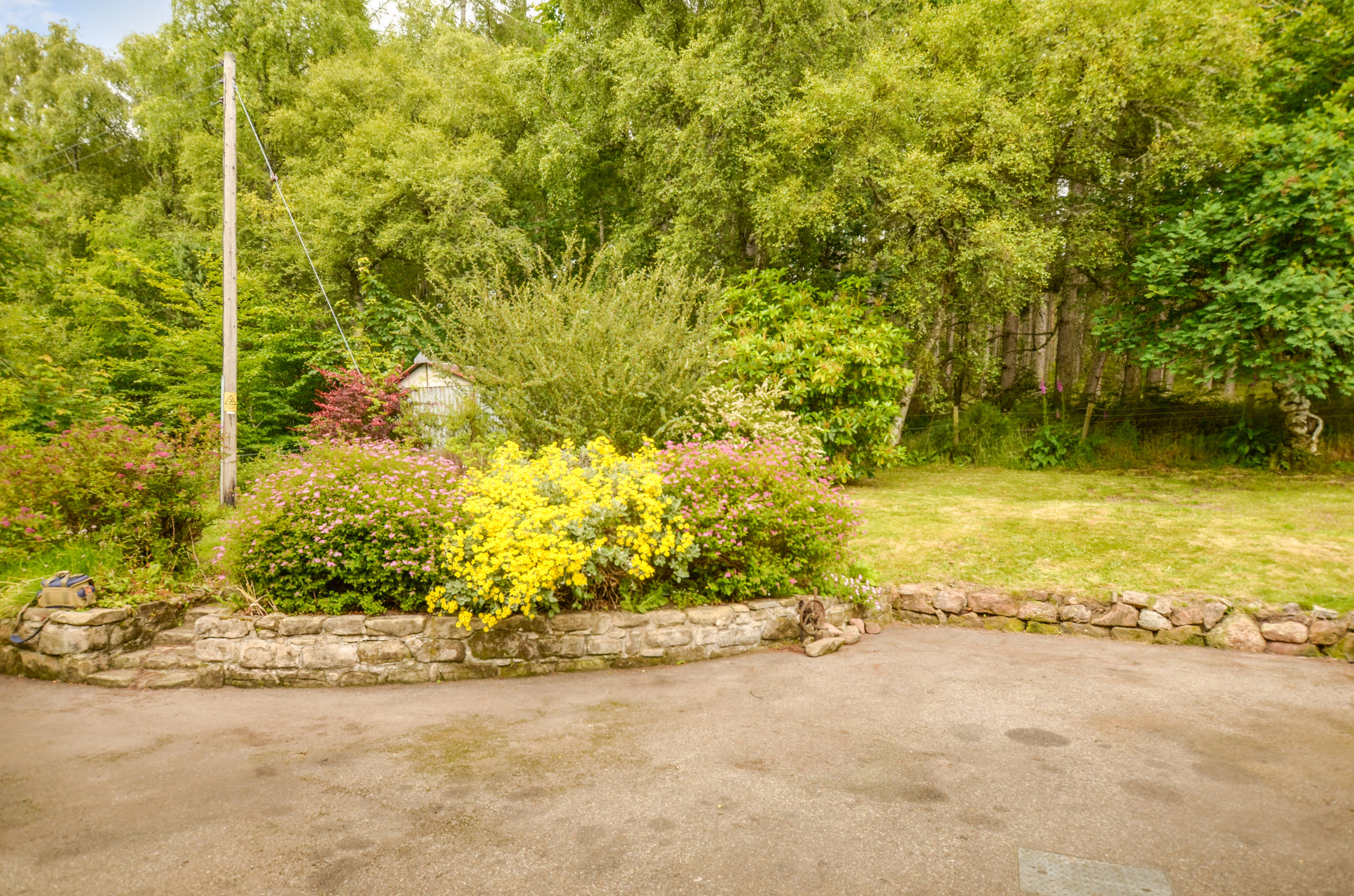 Driveway
