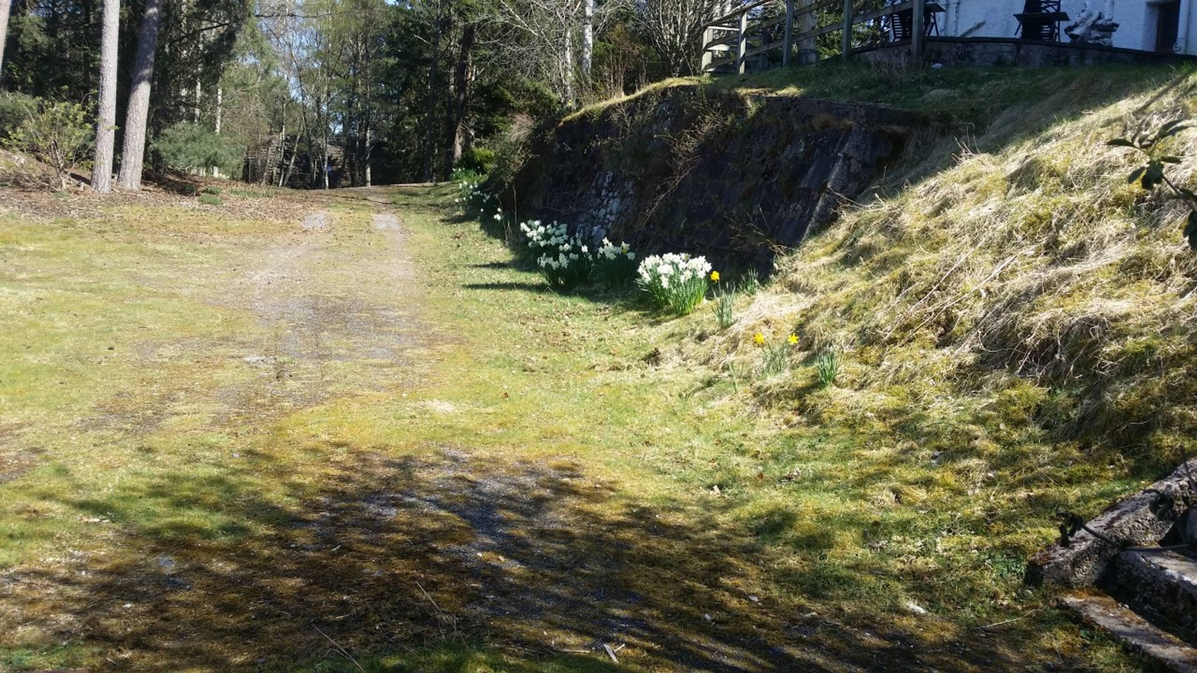 Grounds