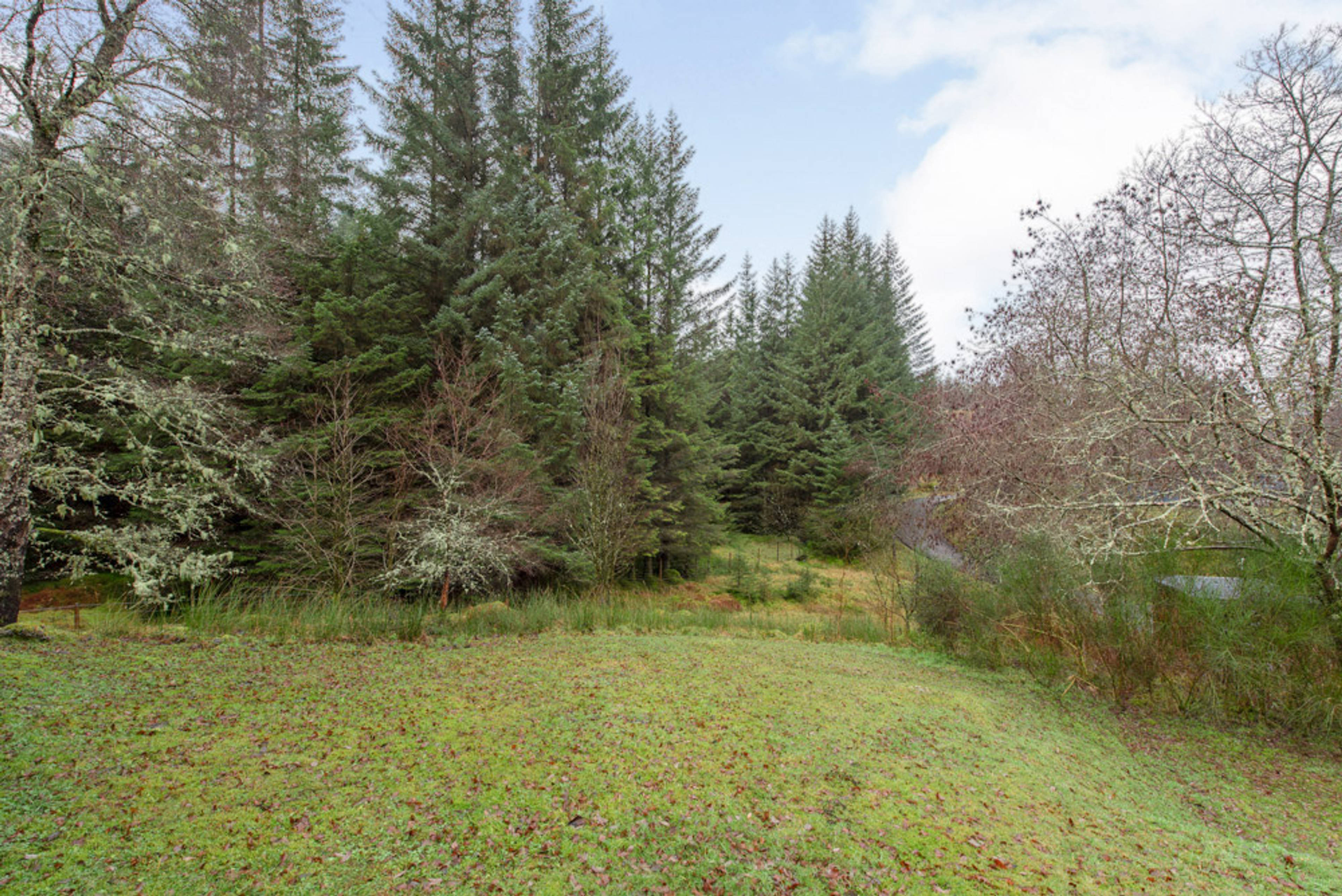 Grounds