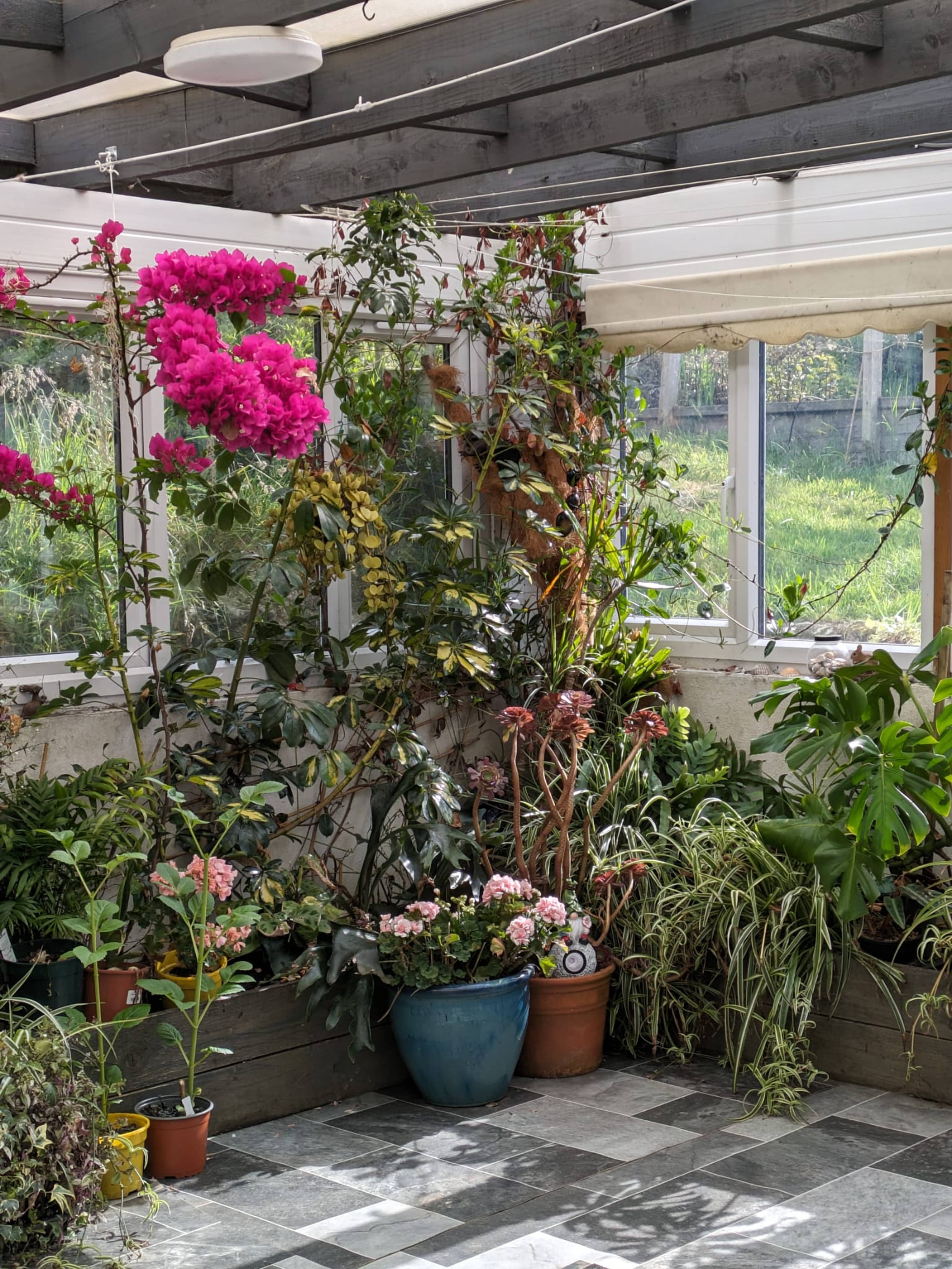 Sun Room