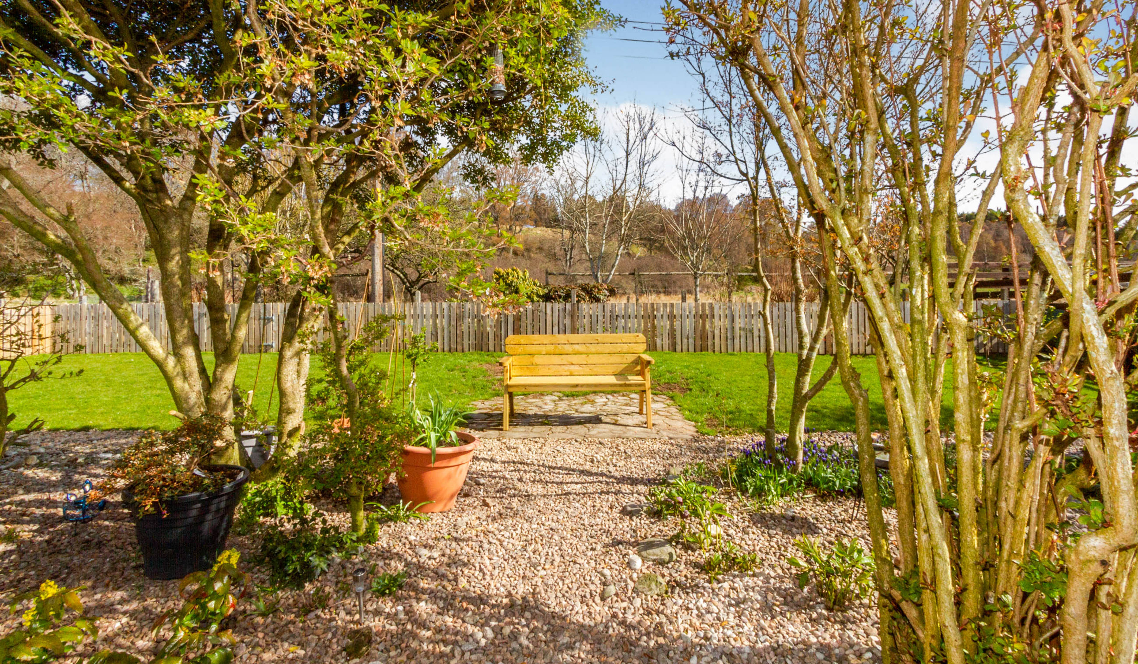 garden