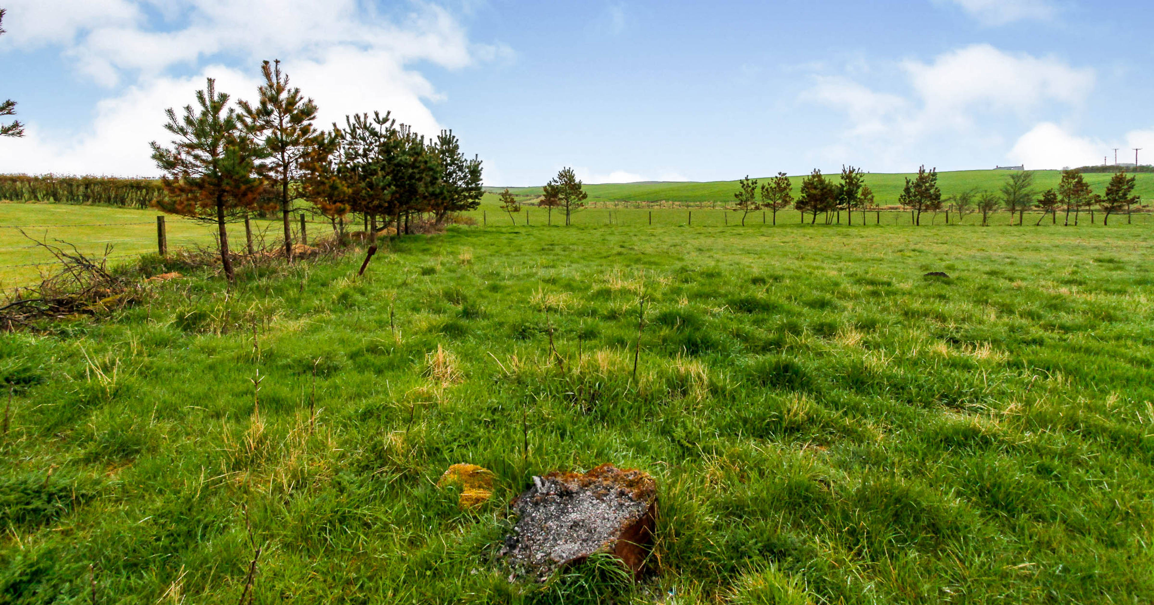 Land