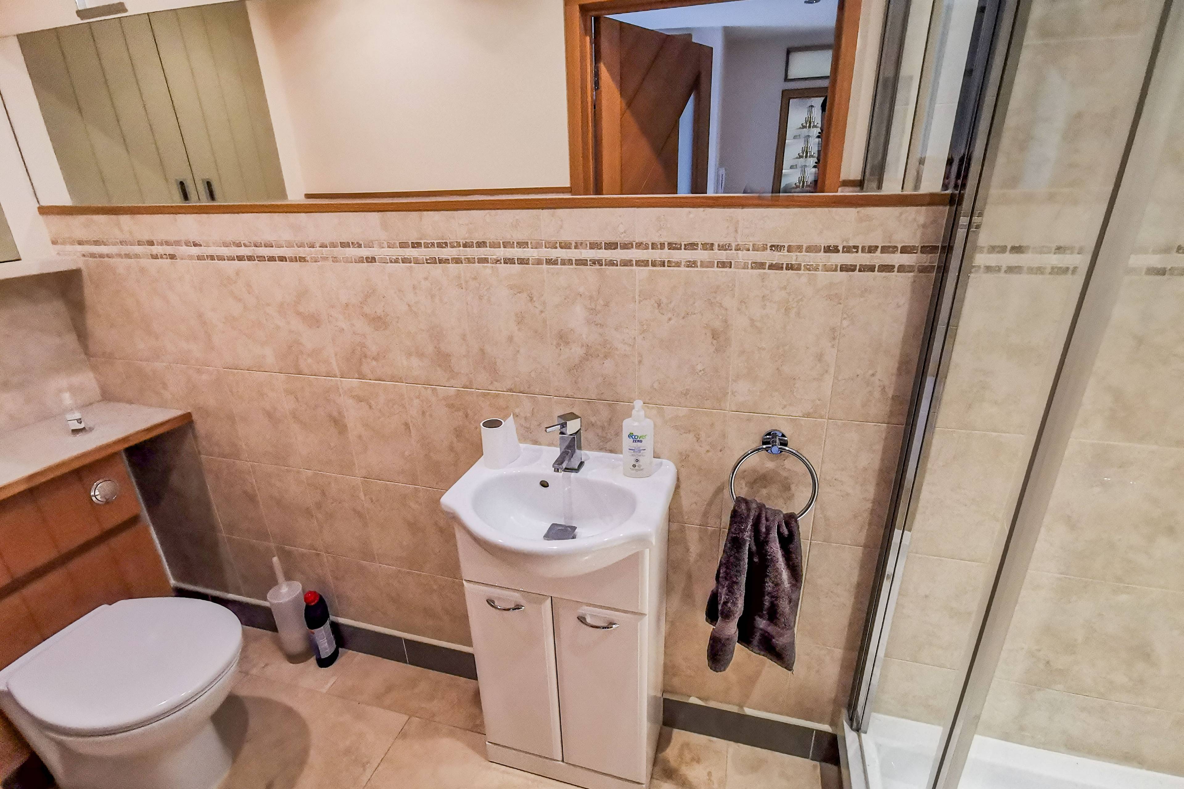 Downstairs Shower
