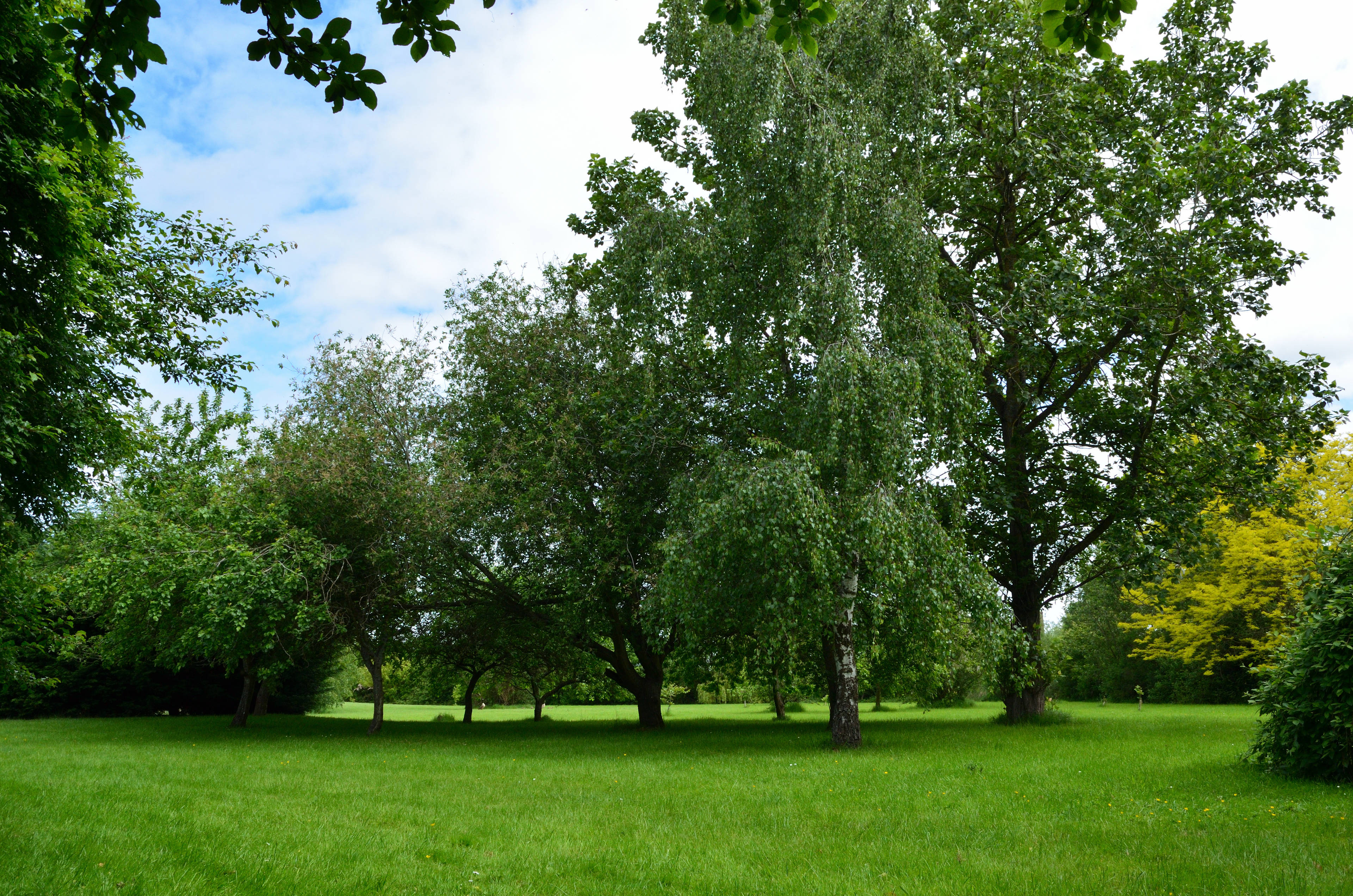 Gardens