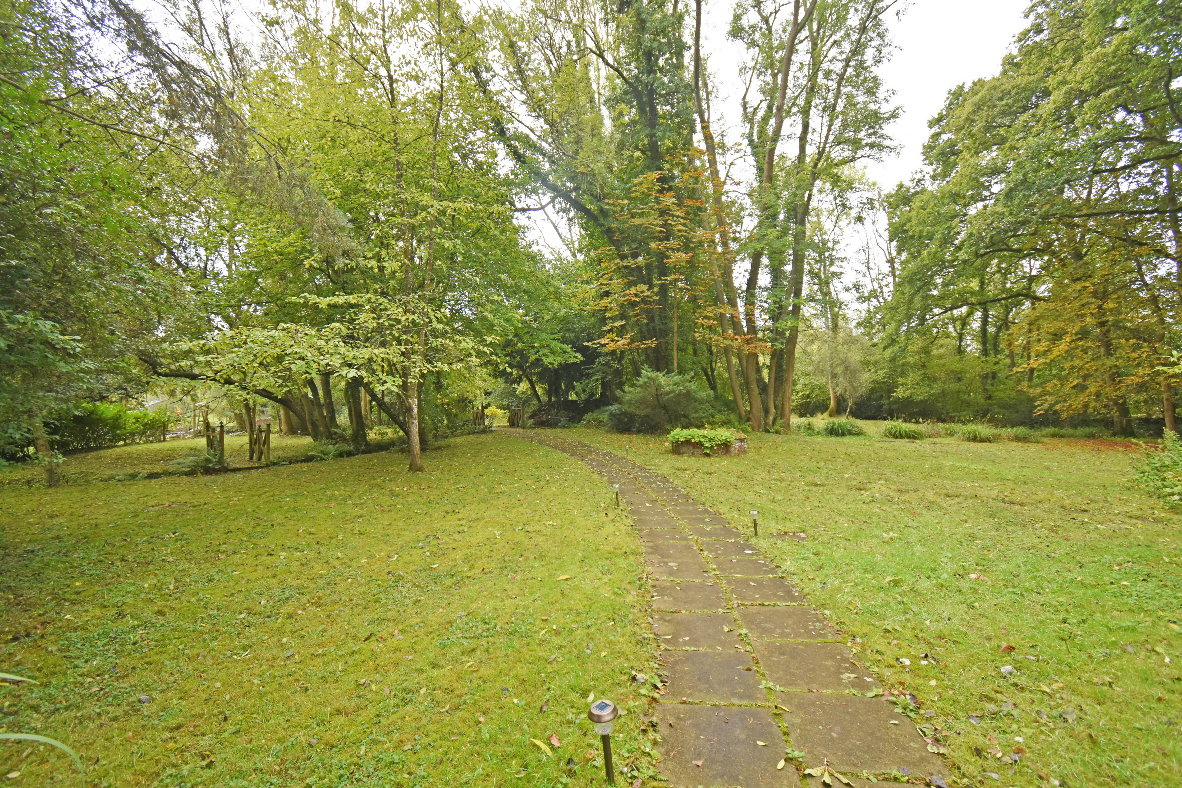 Grounds