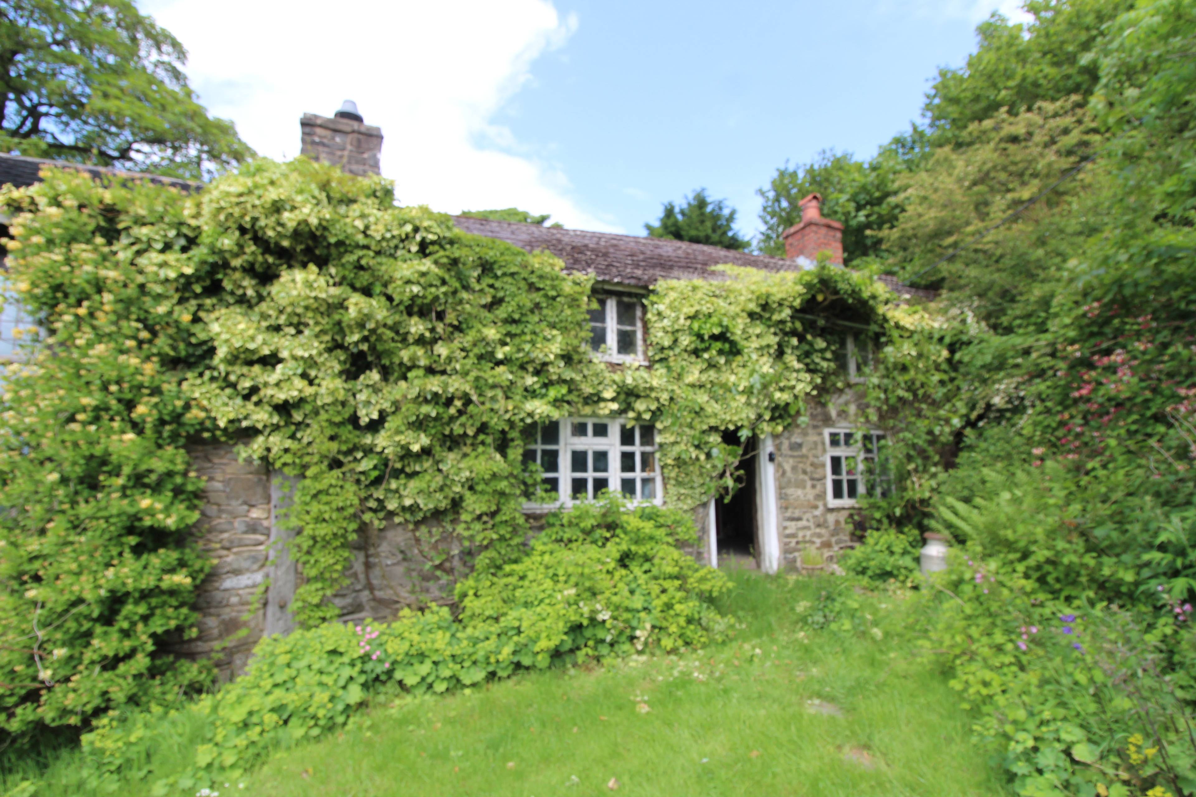 View Of The Property
