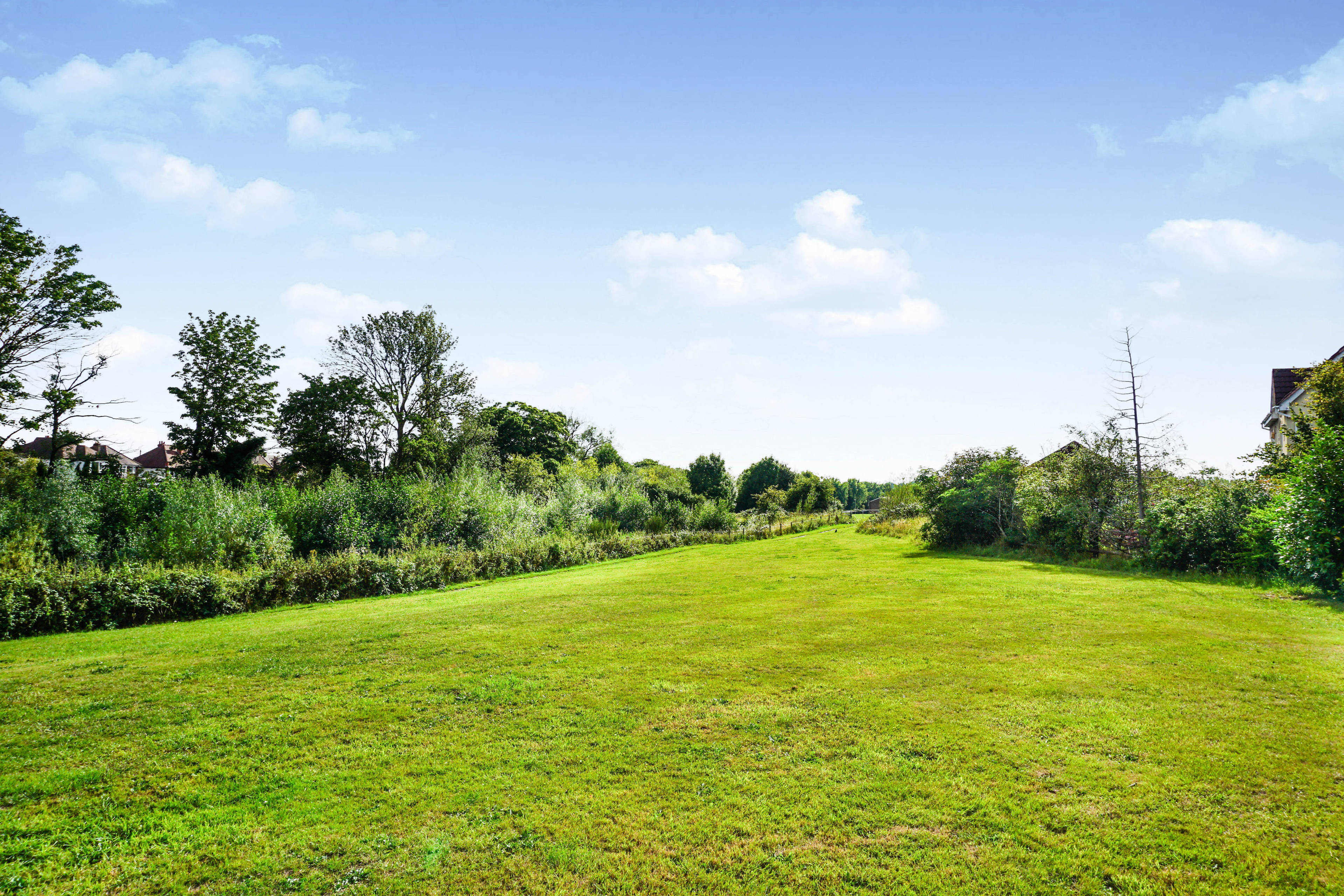 Surrounding Area