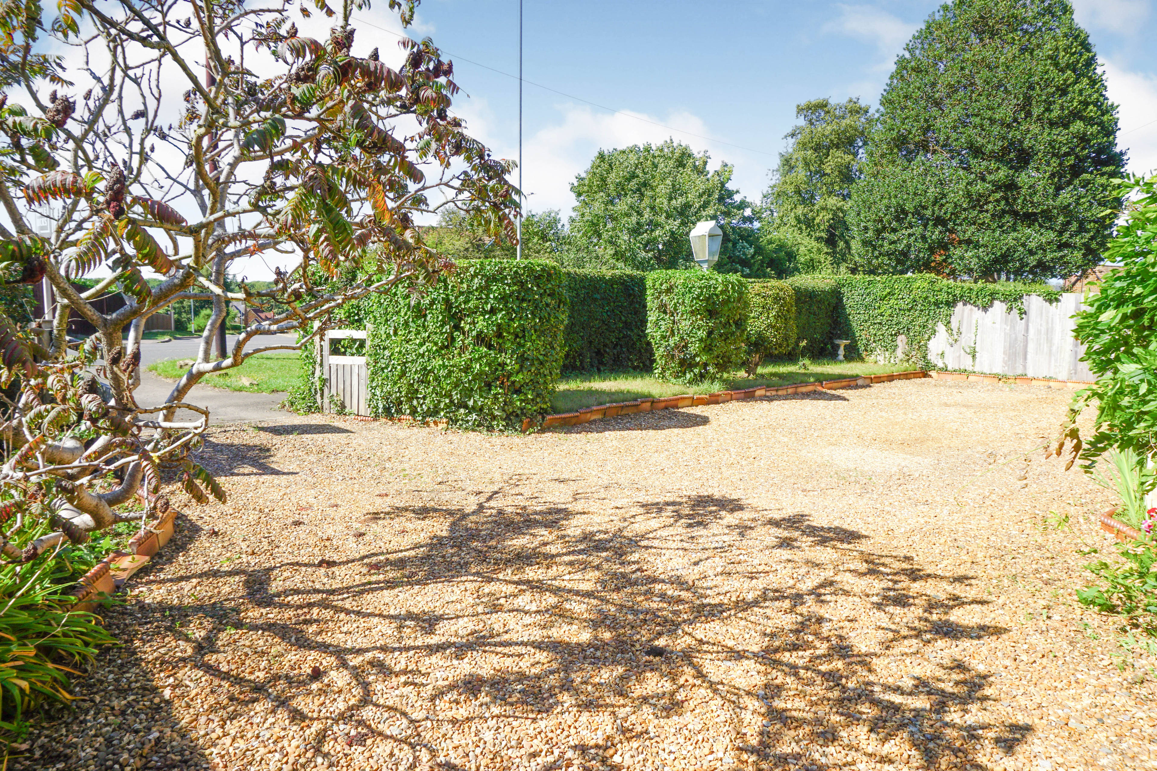 Driveway